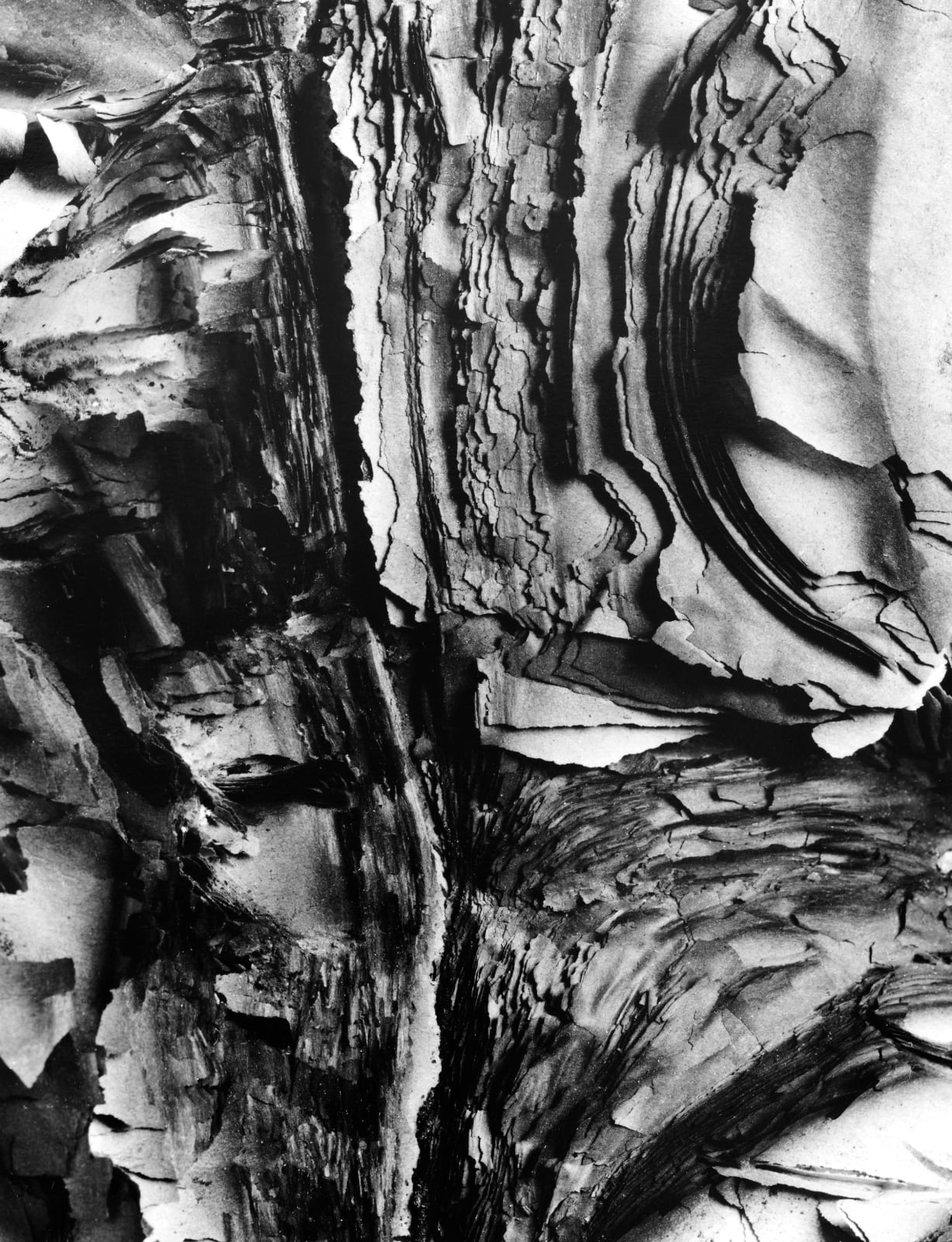 Hitoshi Fugo, KAMI 22, 2001