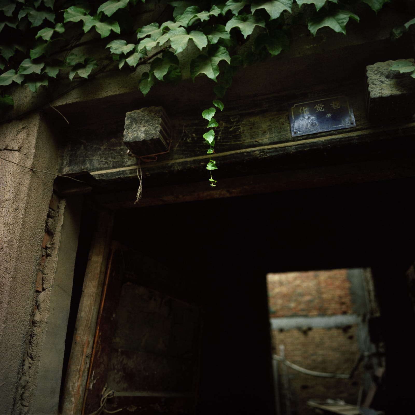 Hai Zhang, Xi'an, Shaanxi Province 2, 2015