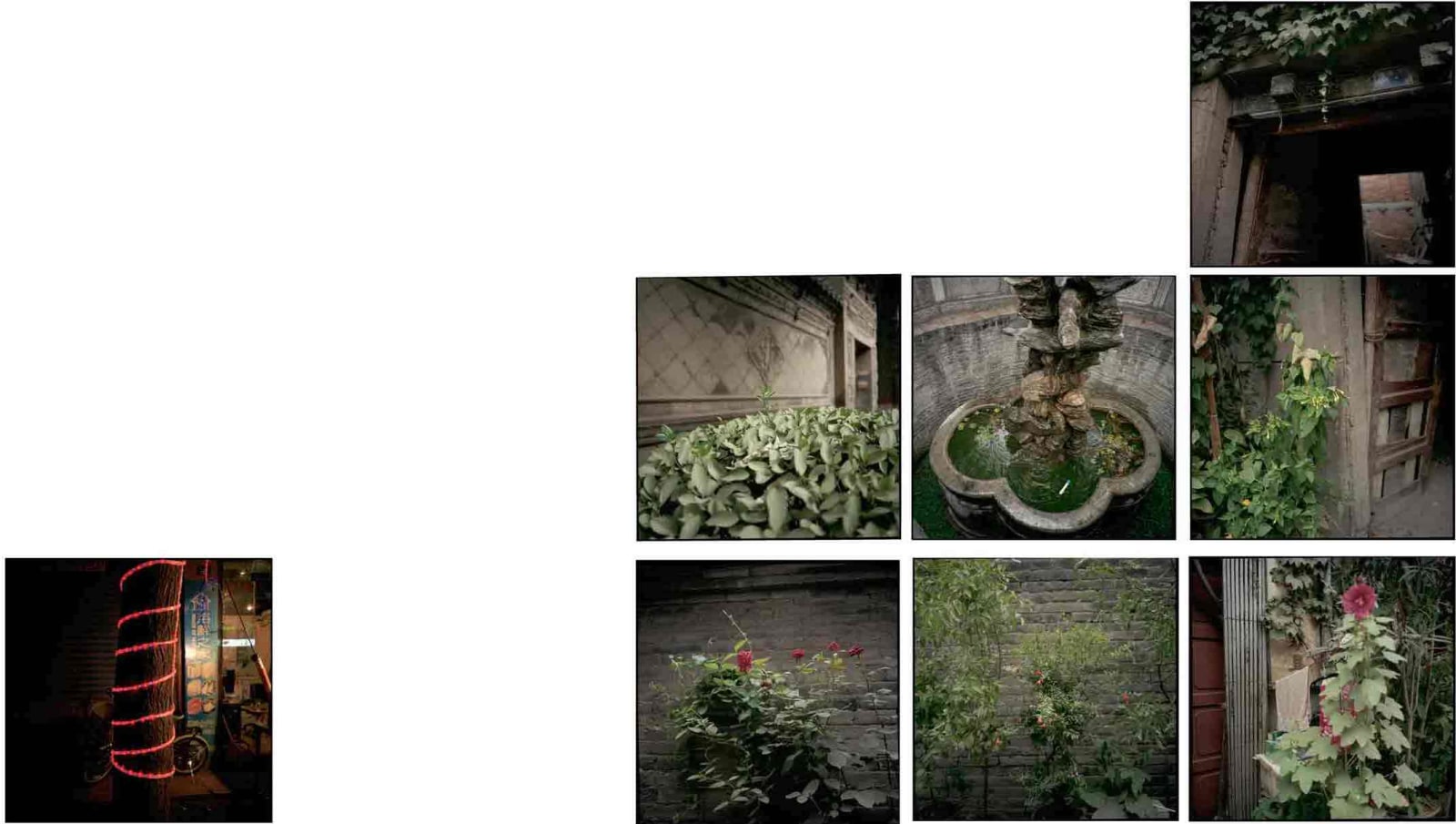 Hai Zhang, Xi'an, Shaanxi Province 7, 2015