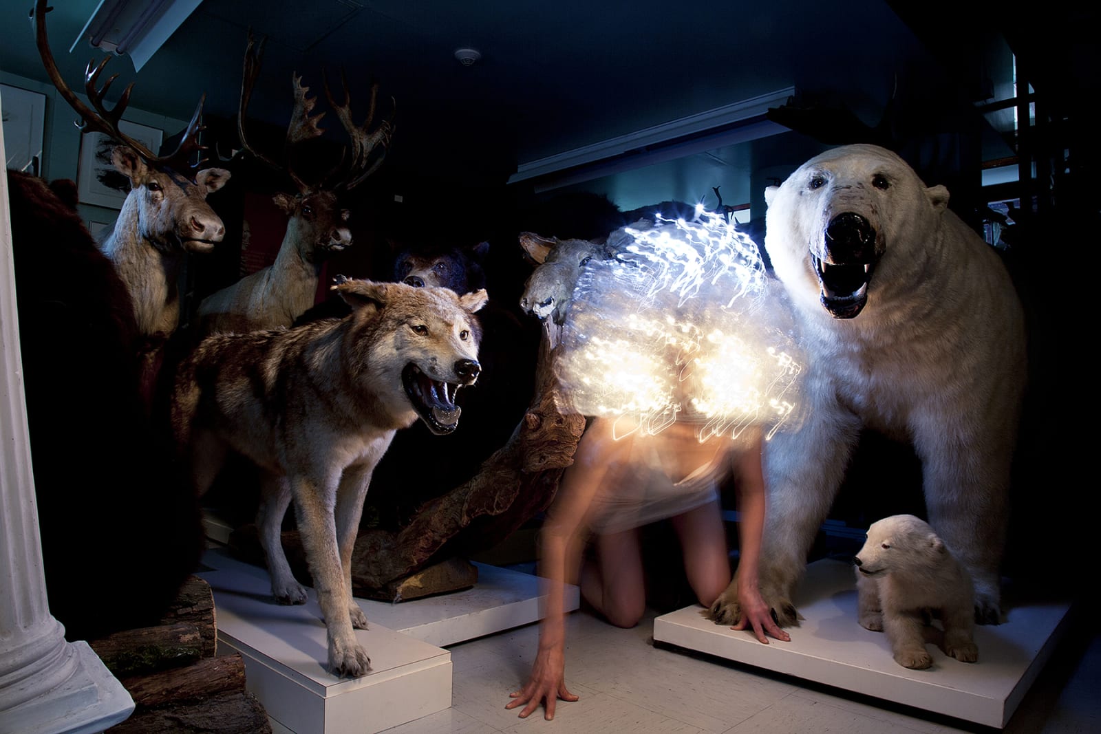 Dominique Paul, Prometheus 3, 2010