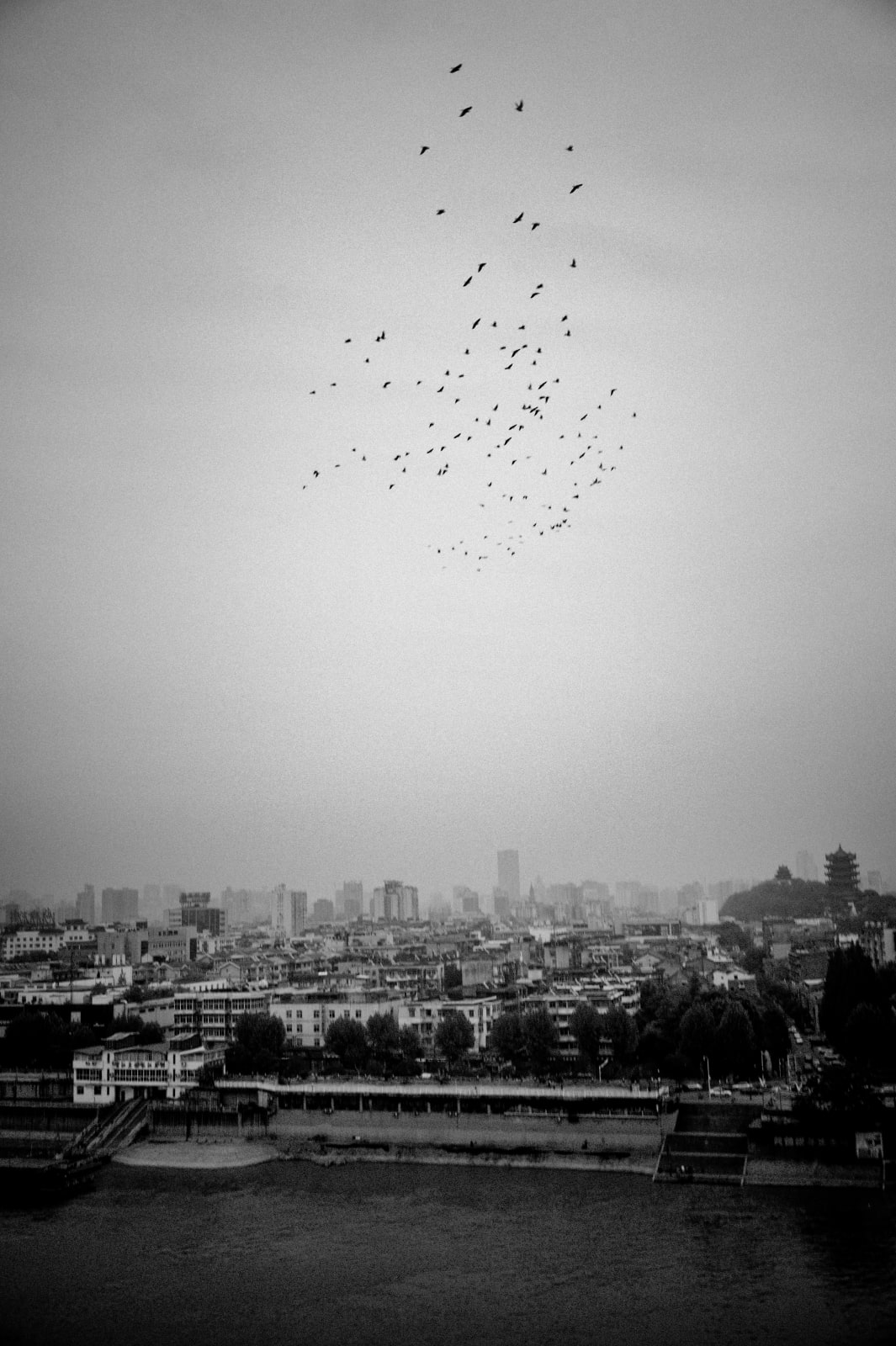 Hai Zhang, Wuhan, Hubei Province, 2013