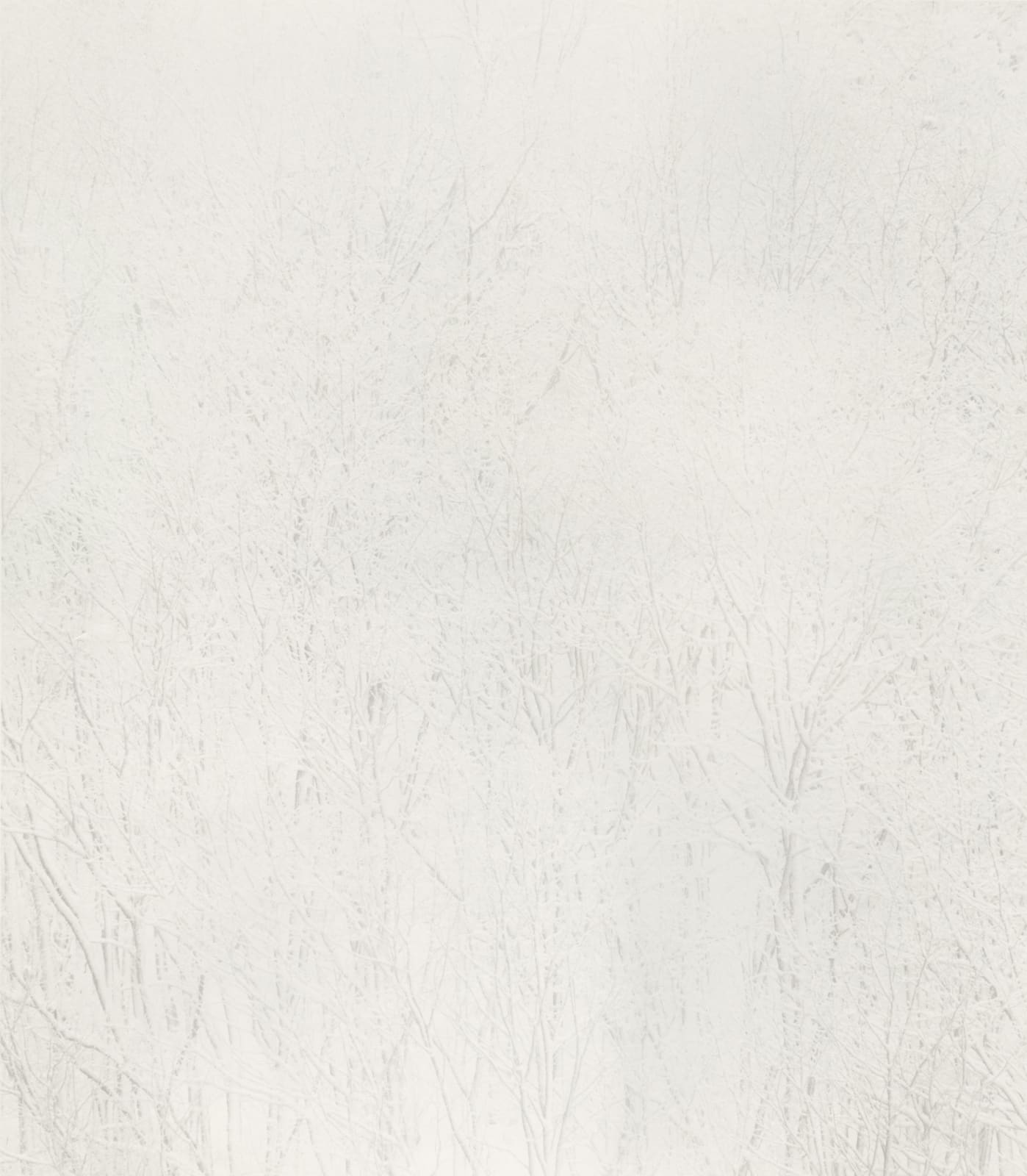 Byung-hun Min, SL133 from the Snow Land Series, 2005