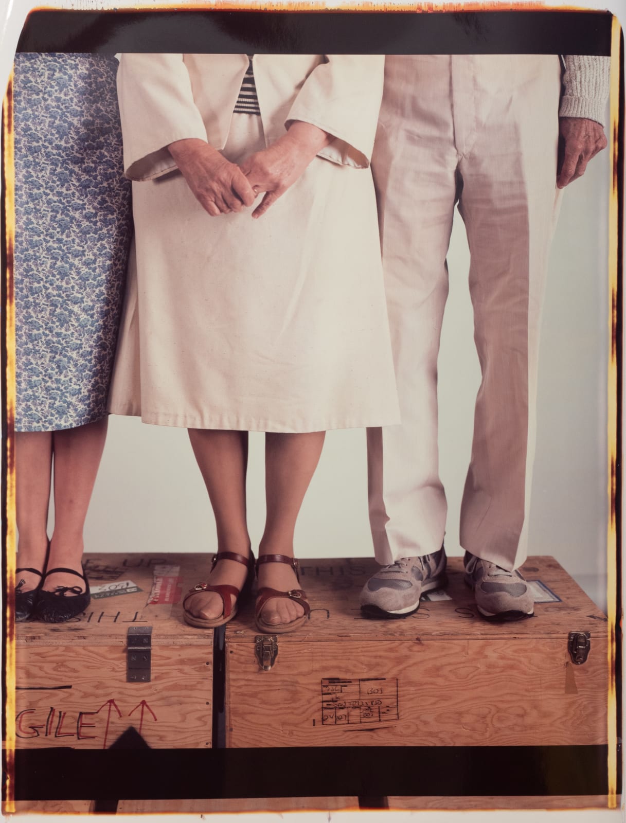 Melissa Shook, Family 2, 1984