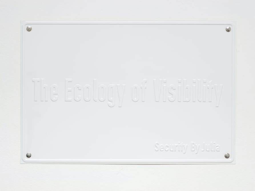 Julia Scher, The Ecology of Visibility (The Ecology of Visibility), 2020