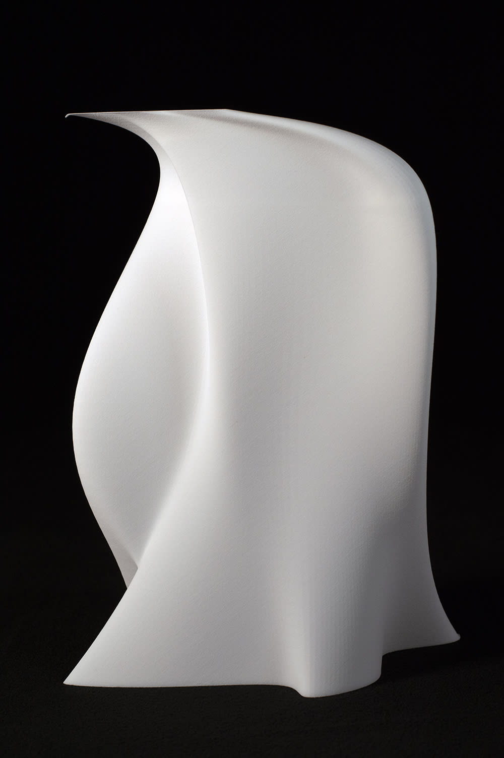 Maria Lorena Lehman, The Reach of Becoming, 2021
