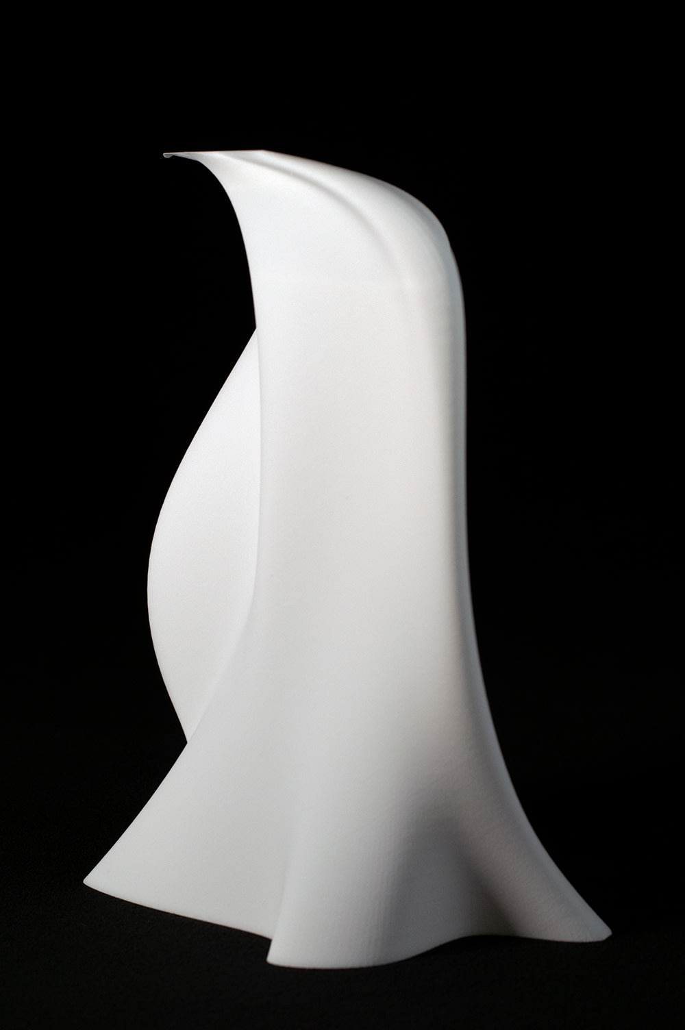 Maria Lorena Lehman, The Reach of Becoming, 2021