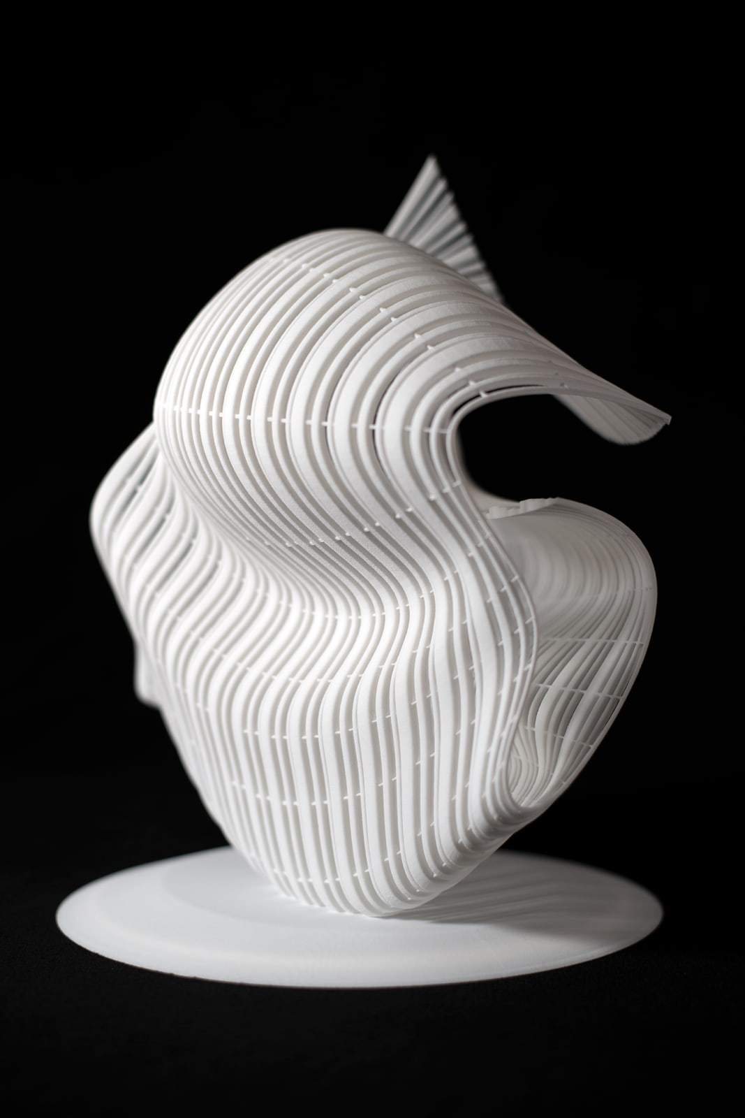 Maria Lorena Lehman, Edge of Infinity, 2021