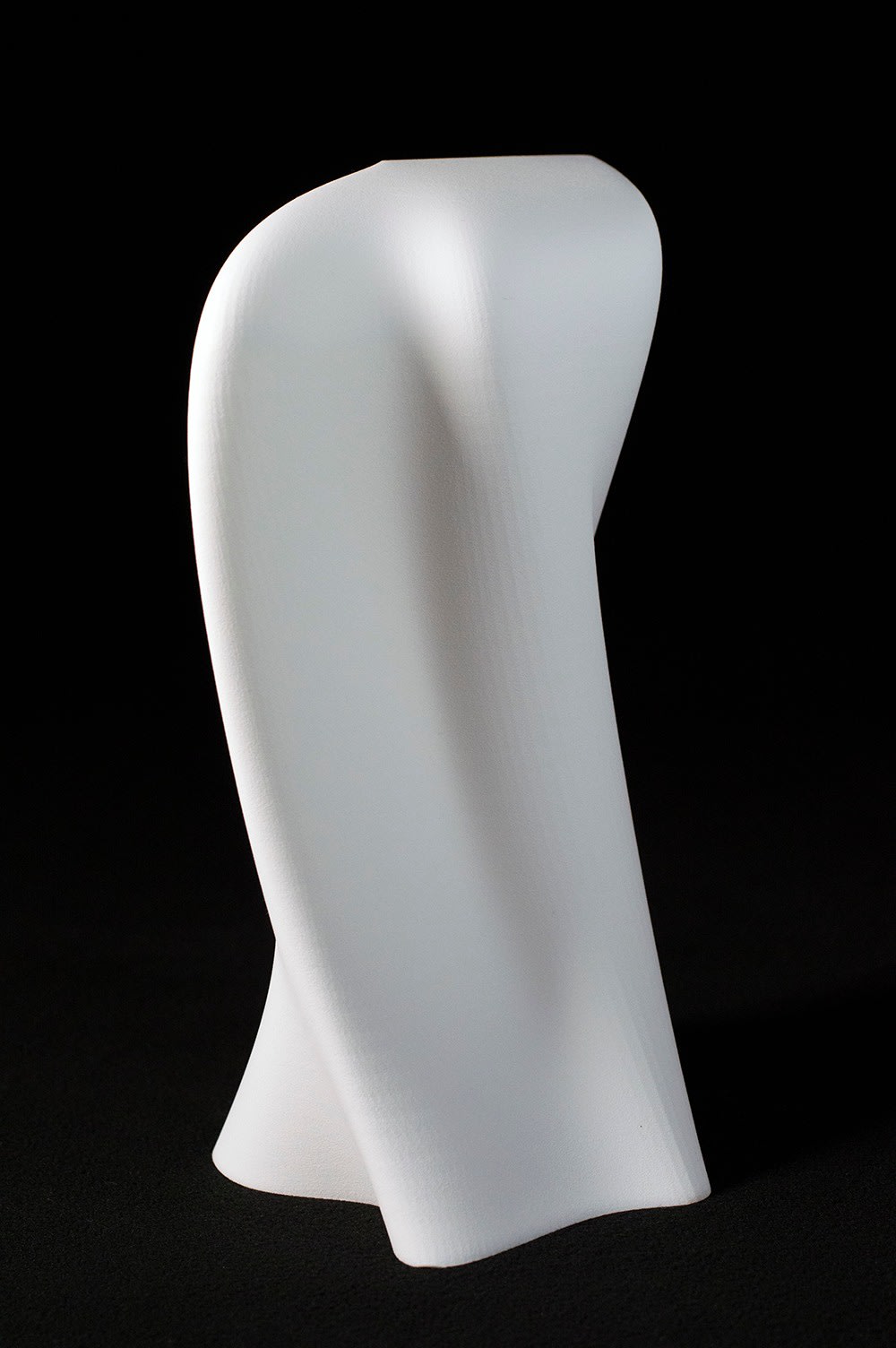 Maria Lorena Lehman, The Reach of Becoming, 2021