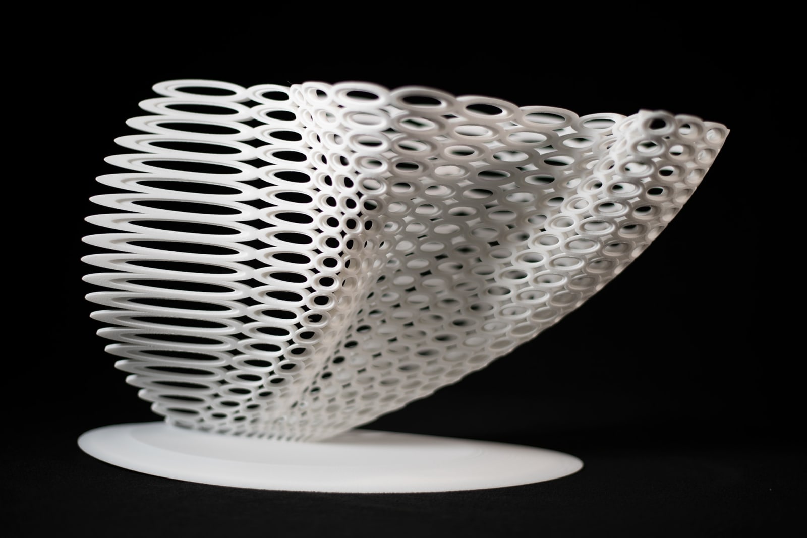 Maria Lorena Lehman, Growth Rings, 2021