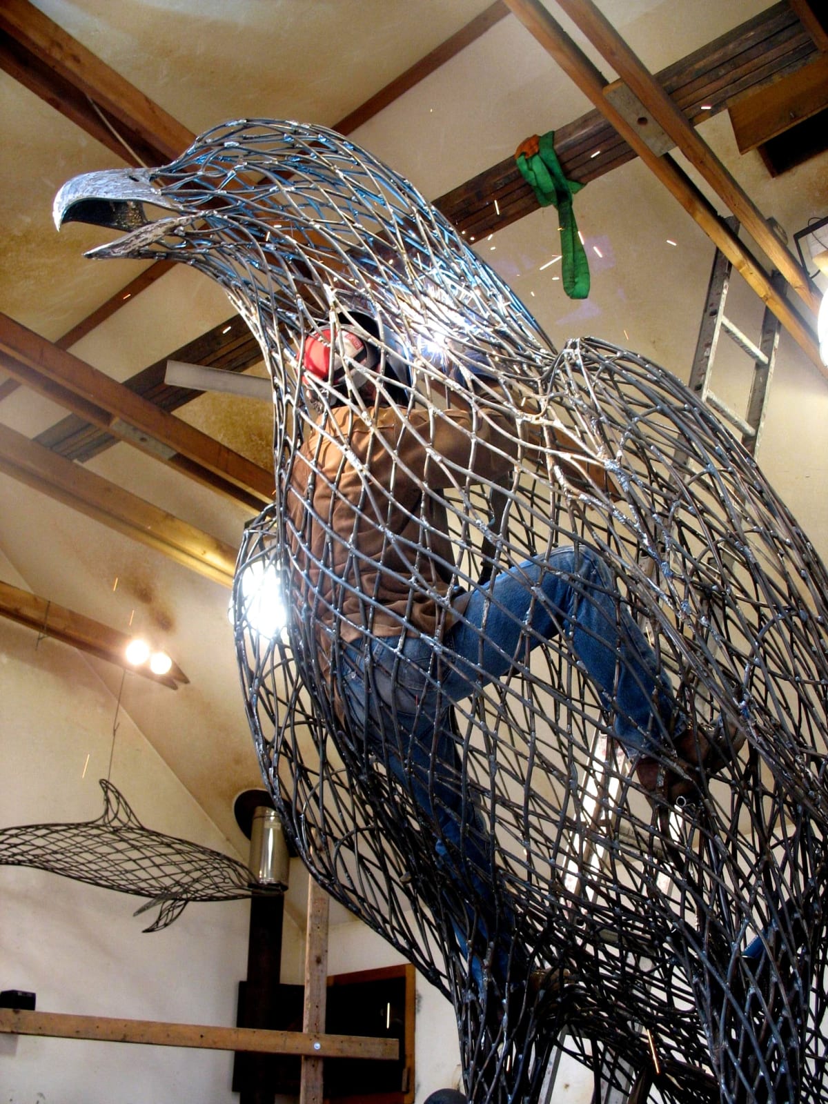 Peter Busby, Harpy Eagle, 2009 Melissa Fine Art