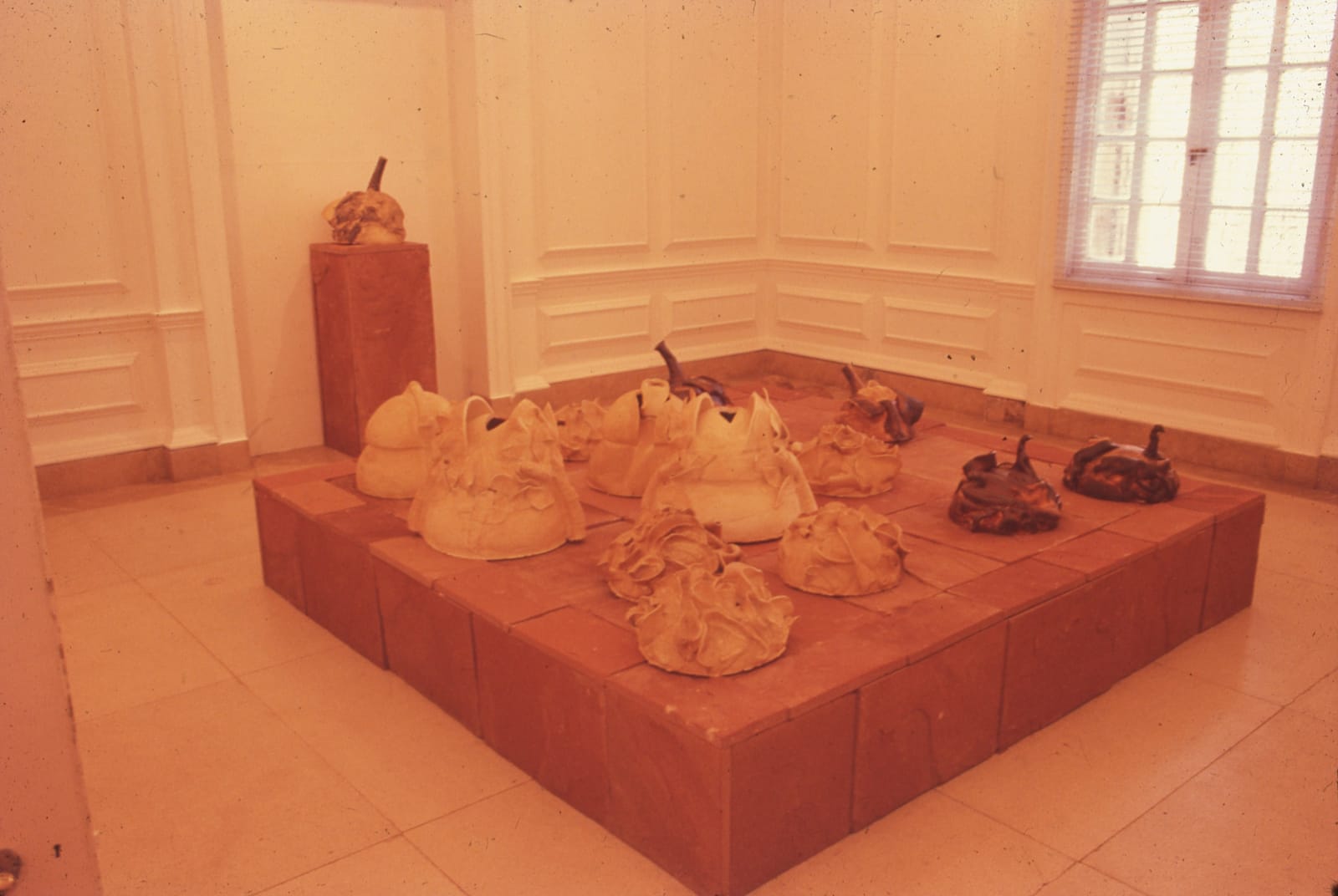 Mrinalini Mukherjee, LOTUS POND, 1995-96