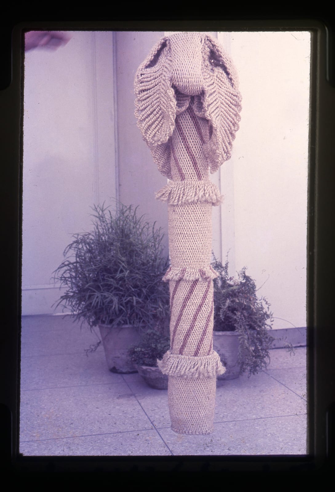 Mrinalini Mukherjee, PLANTAIN TREE, 1975