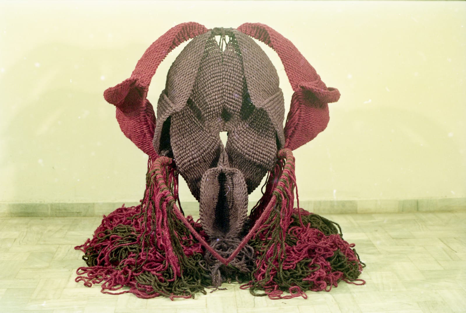 Mrinalini Mukherjee, ARANYANI, 1996