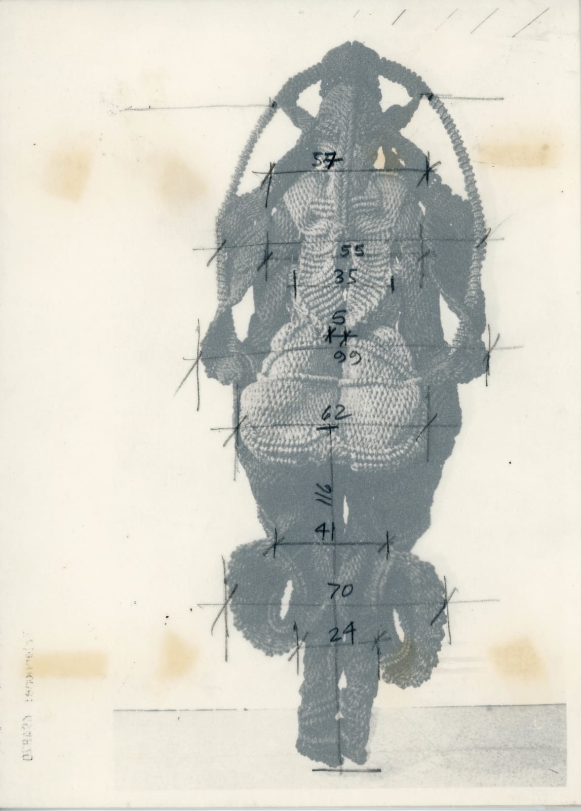 Mrinalini Mukherjee, WOMEN ON SWING - INSTALLATION INSTRUCTION, 1989