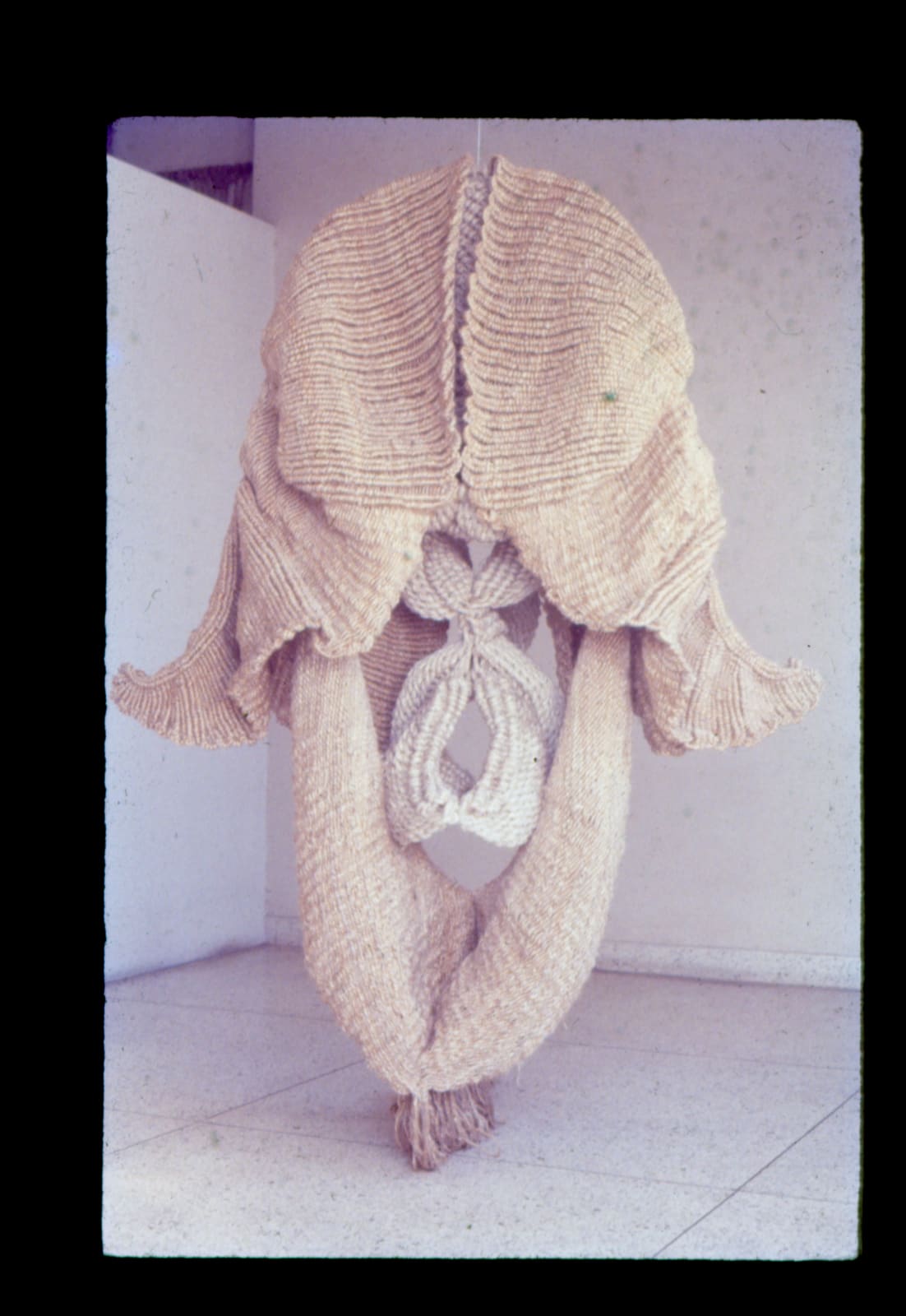 Mrinalini Mukherjee, SREE, 1982