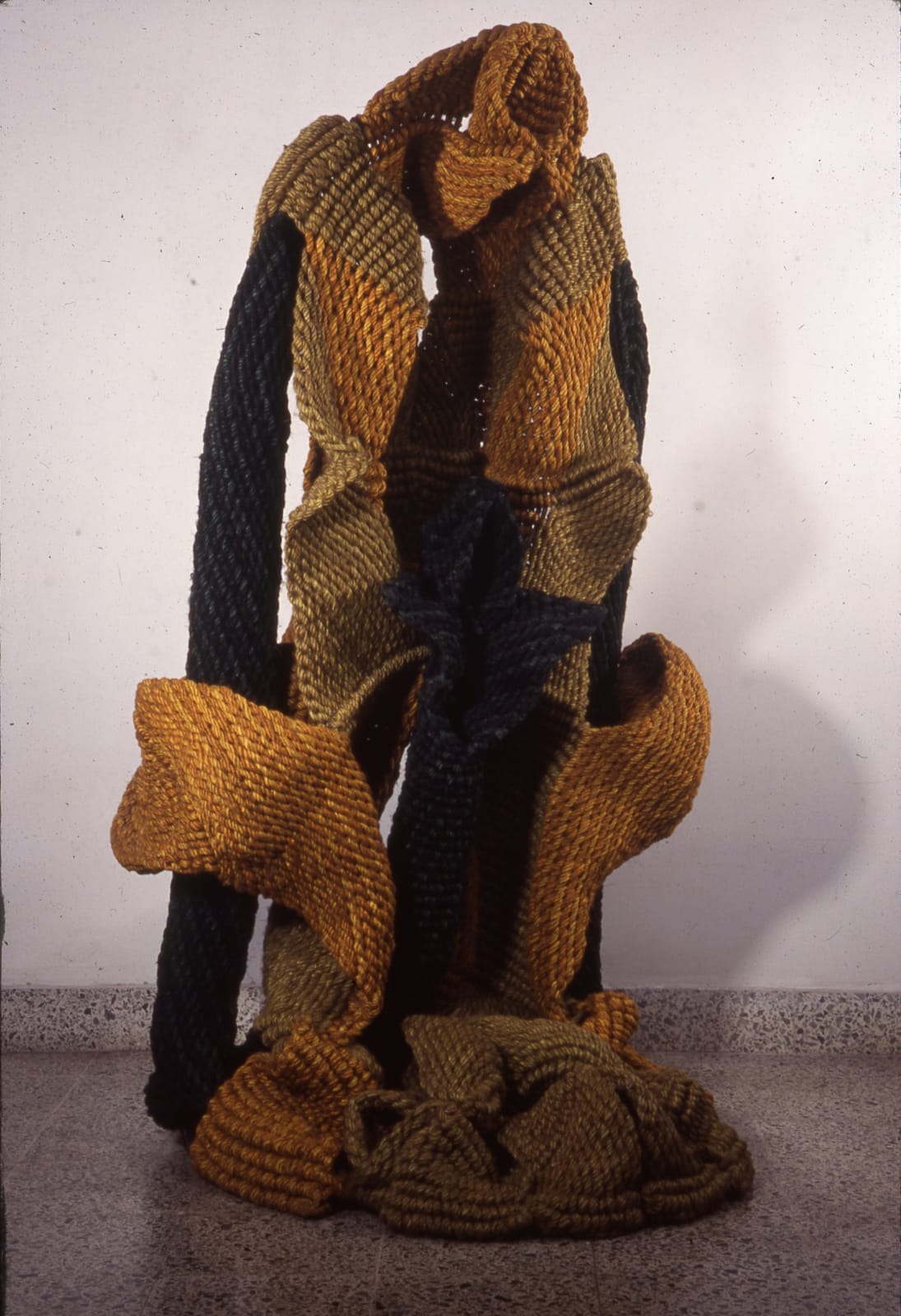 Mrinalini Mukherjee, SURYAMUKHI, 2001