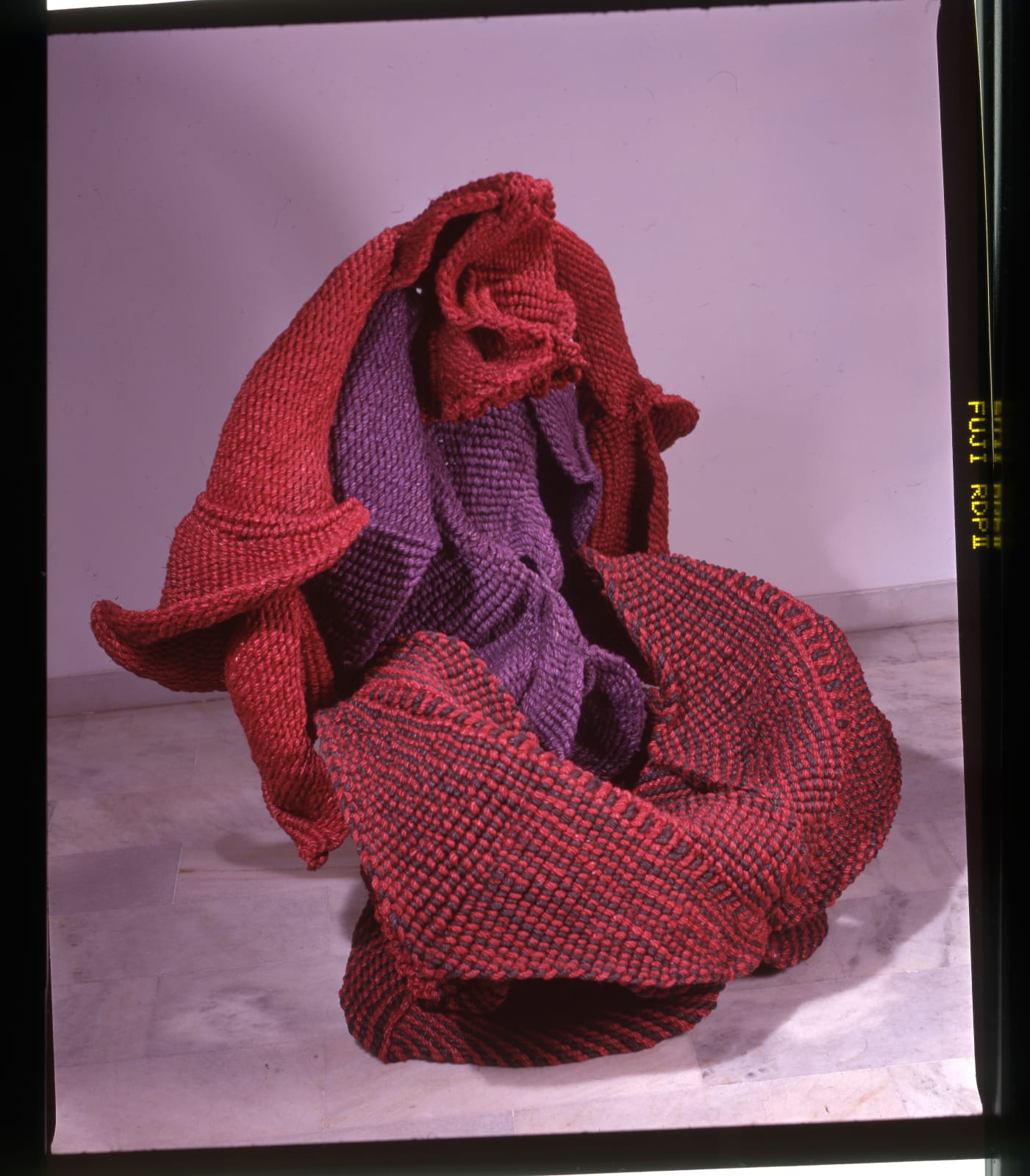 Mrinalini Mukherjee, ARANYANI, 1996