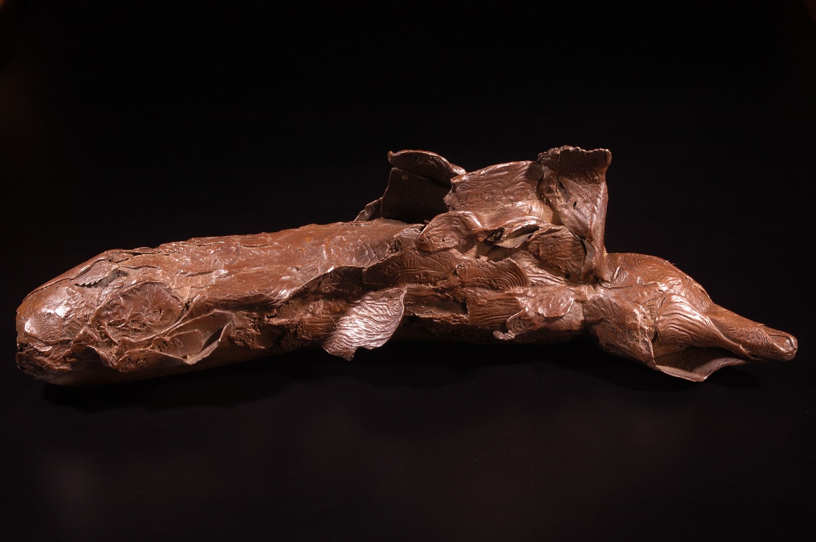 Mrinalini Mukherjee, NATURAL HISTORY II, 2003-2004