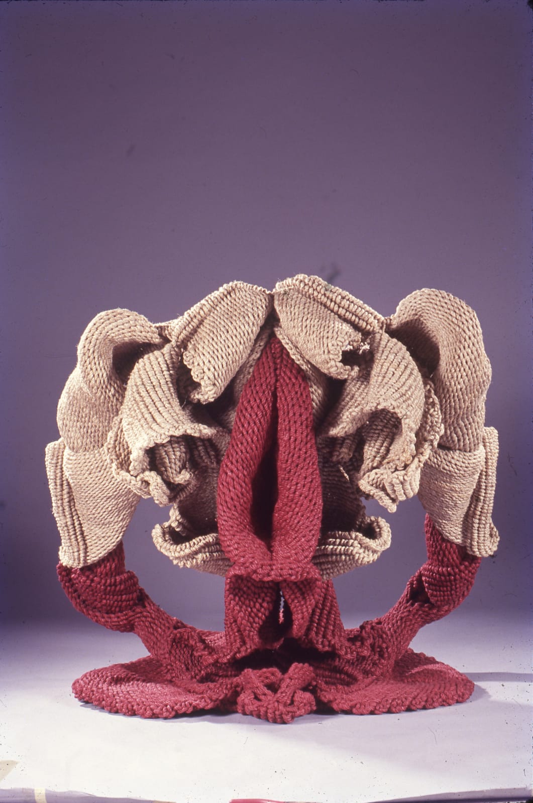 Mrinalini Mukherjee, PUSHP, 1993