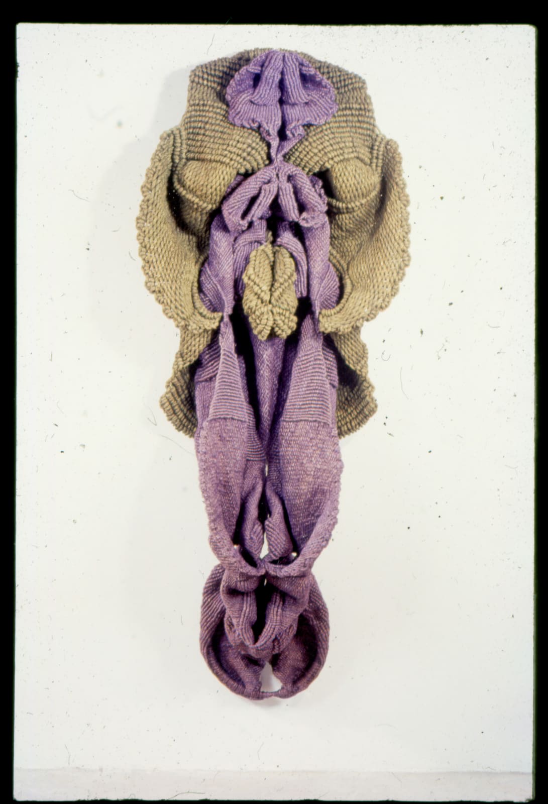 Mrinalini Mukherjee, NAAG, 1985/86