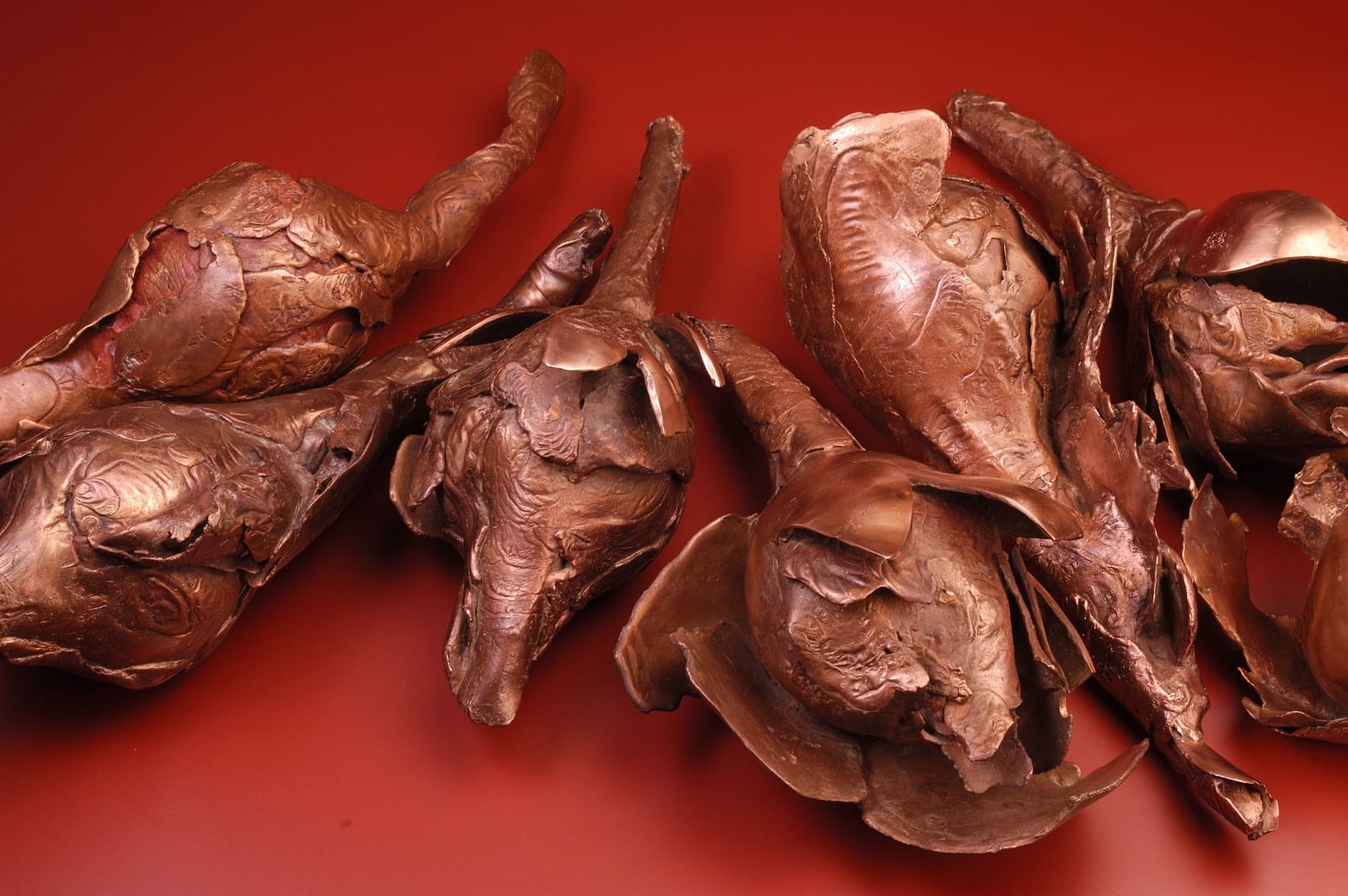 Mrinalini Mukherjee, NATURAL HISTORY COLLECTION, 2003-2004