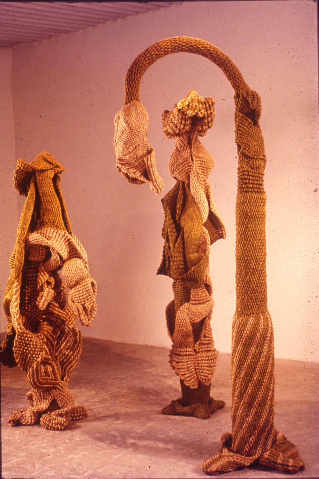 Mrinalini Mukherjee, VRIKSHA NATA, 1991-92