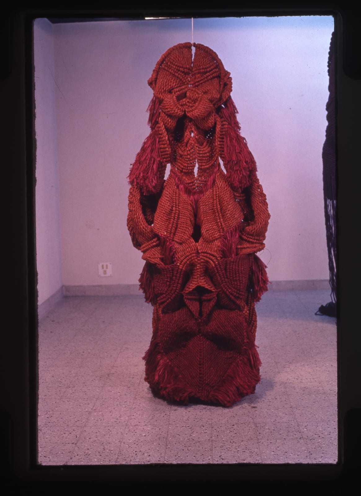 Mrinalini Mukherjee, PAKSHI, 1985