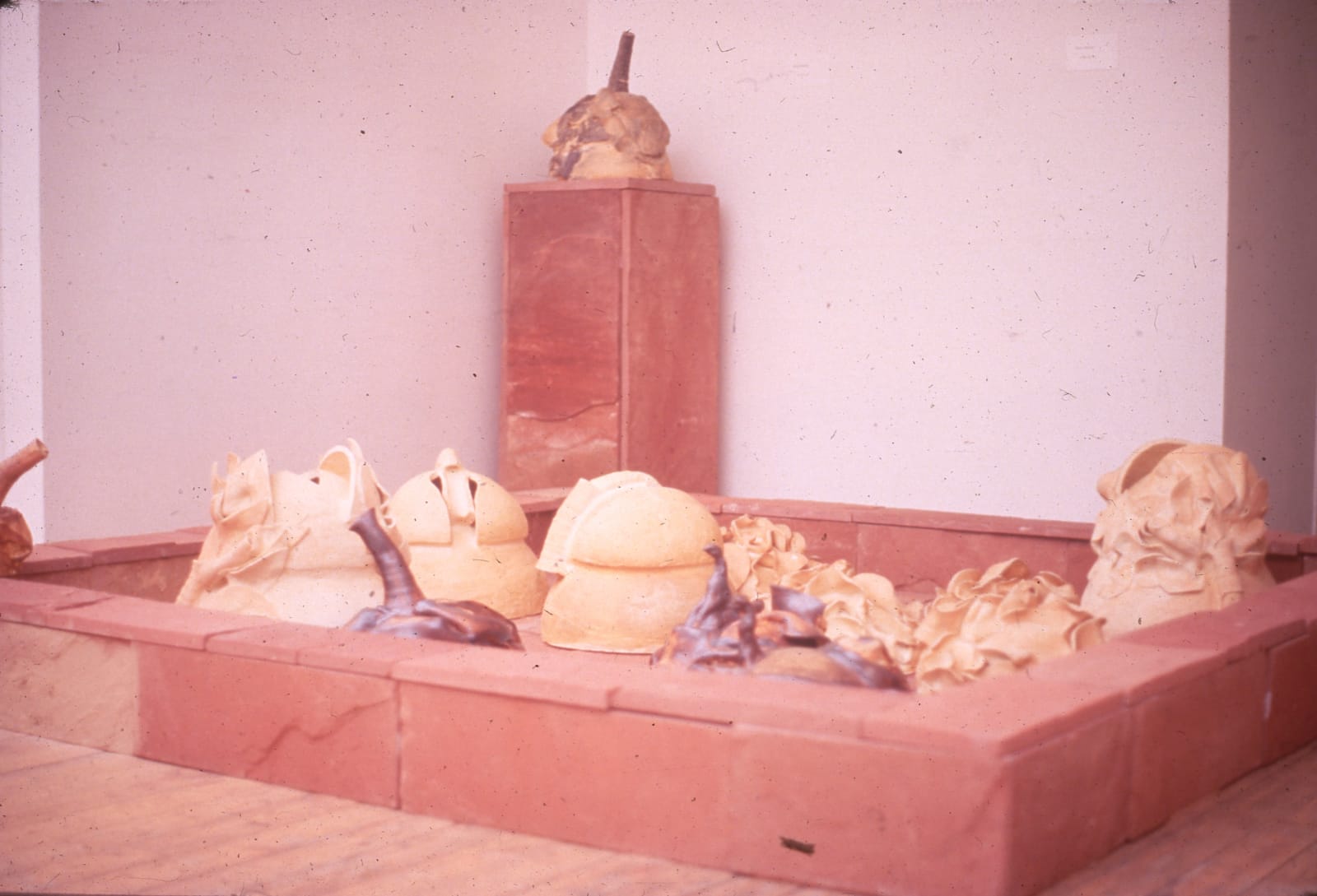 Mrinalini Mukherjee, LOTUS POND, 1995
