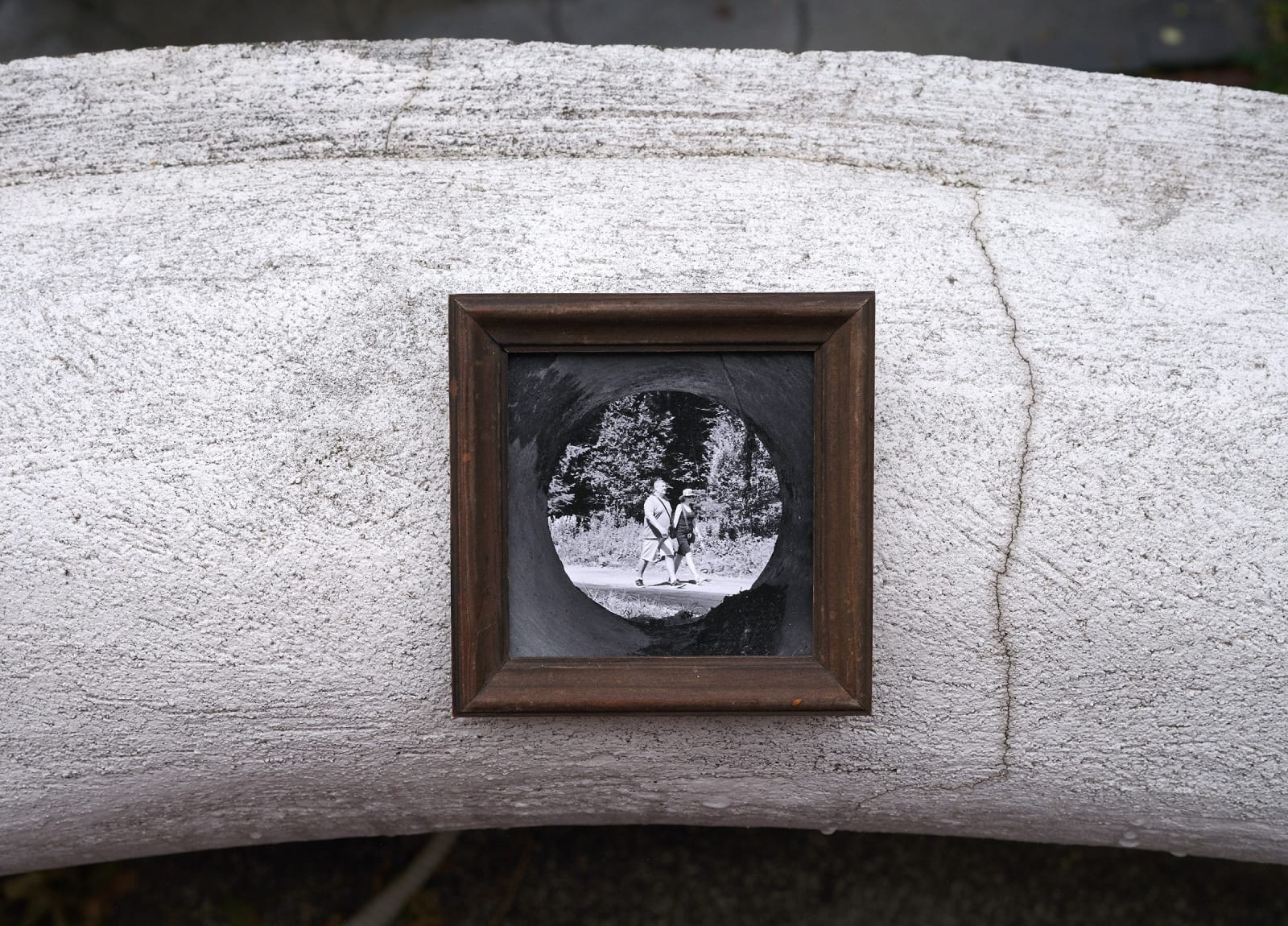 Bogdan Gîrbovan, POLIȘTOACA_2, 2024