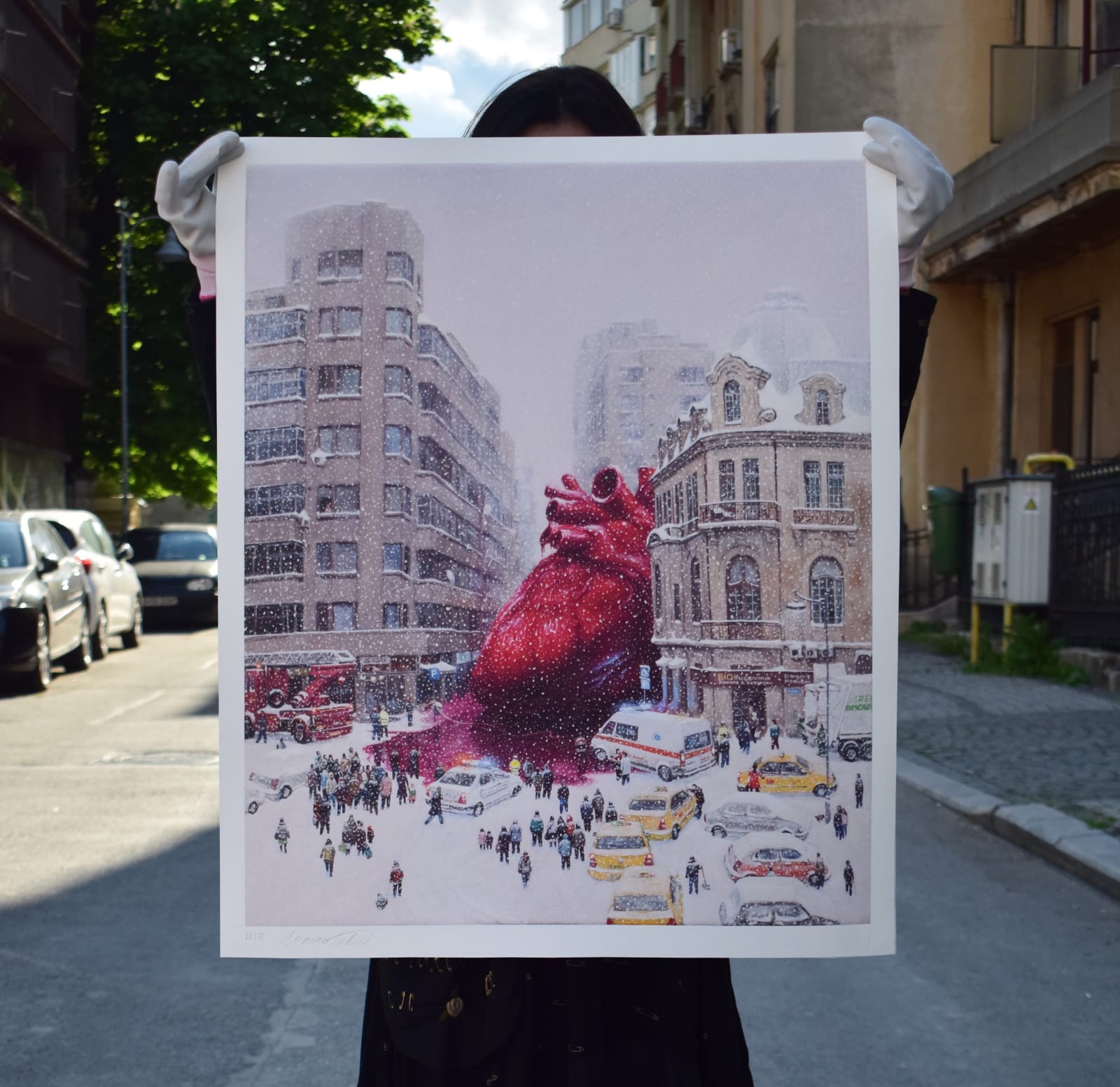 Roman Tolici, Accident in Amzei Square