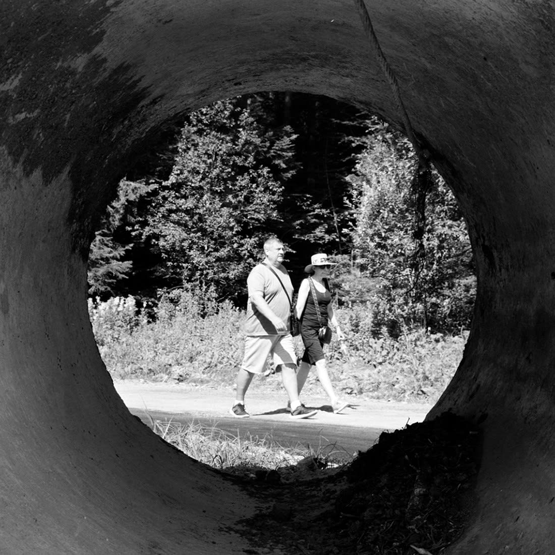 Bogdan Gîrbovan, Poliștoaca_2, 2024