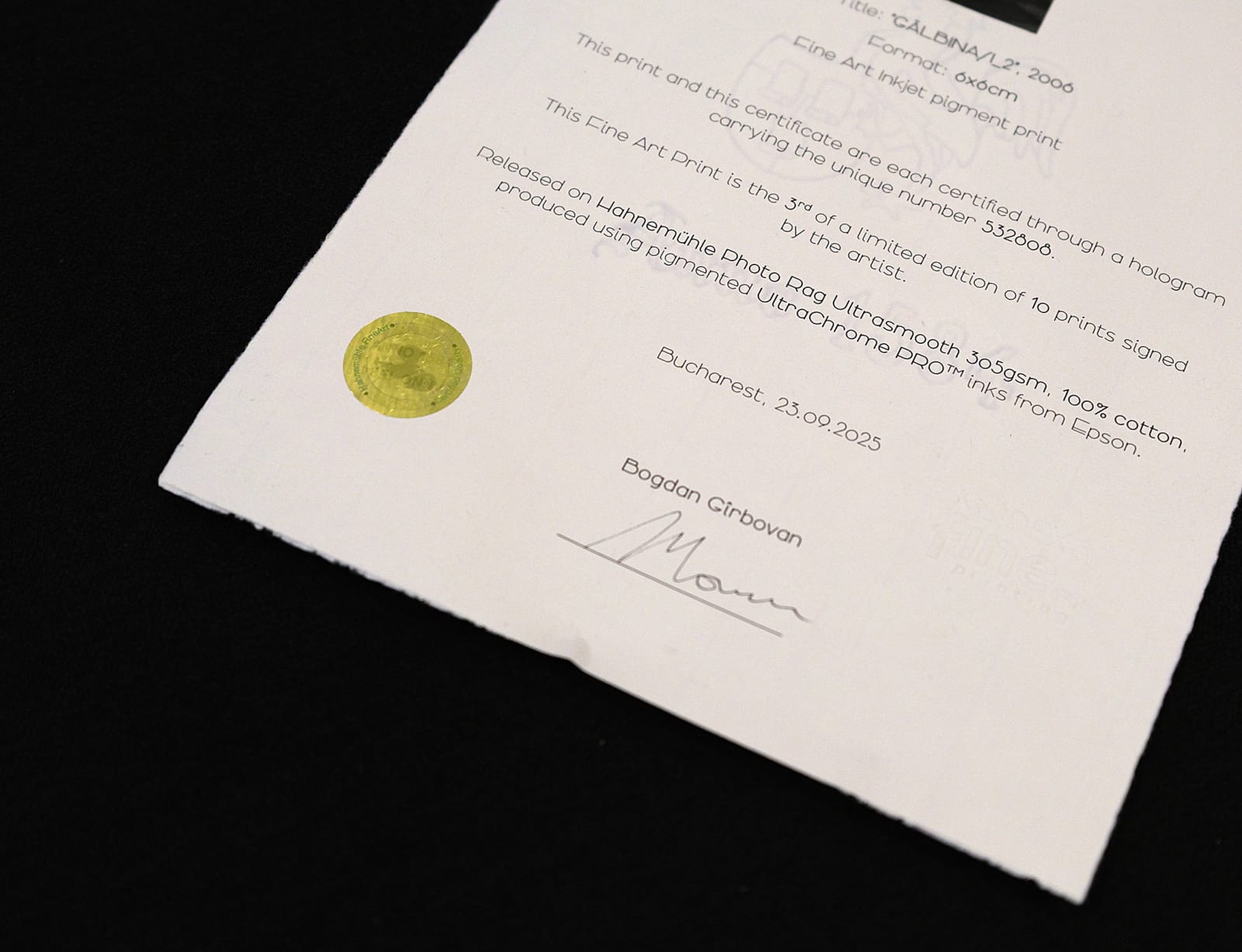 Bogdan Gîrbovan, MARIETA, 2012