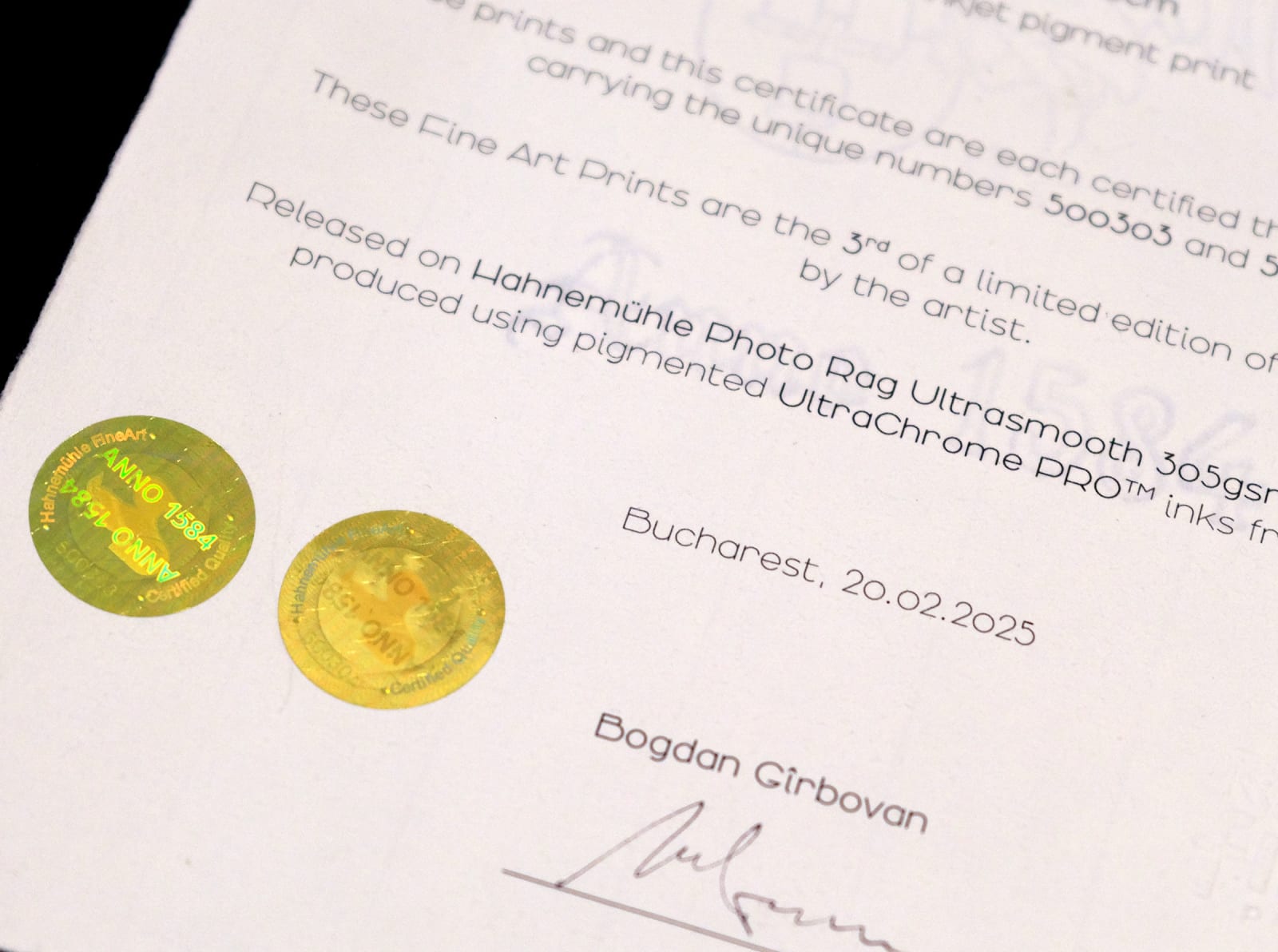 Bogdan Gîrbovan, TURN APA 1 & 2_DIPTYCH, 2012