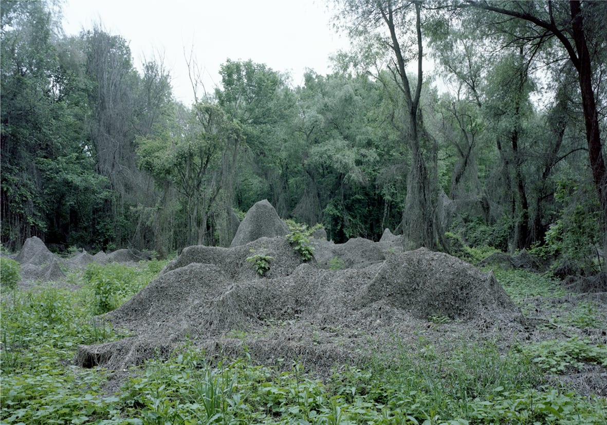 Bogdan Gîrbovan, OSTROV-DUNARE, 2019