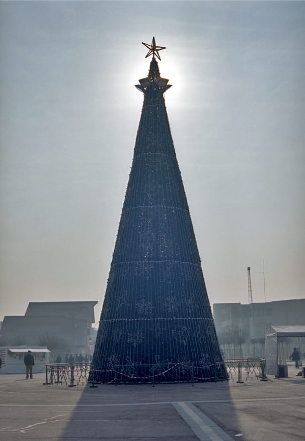 Bogdan Gîrbovan, BRAD METALIC, 2010