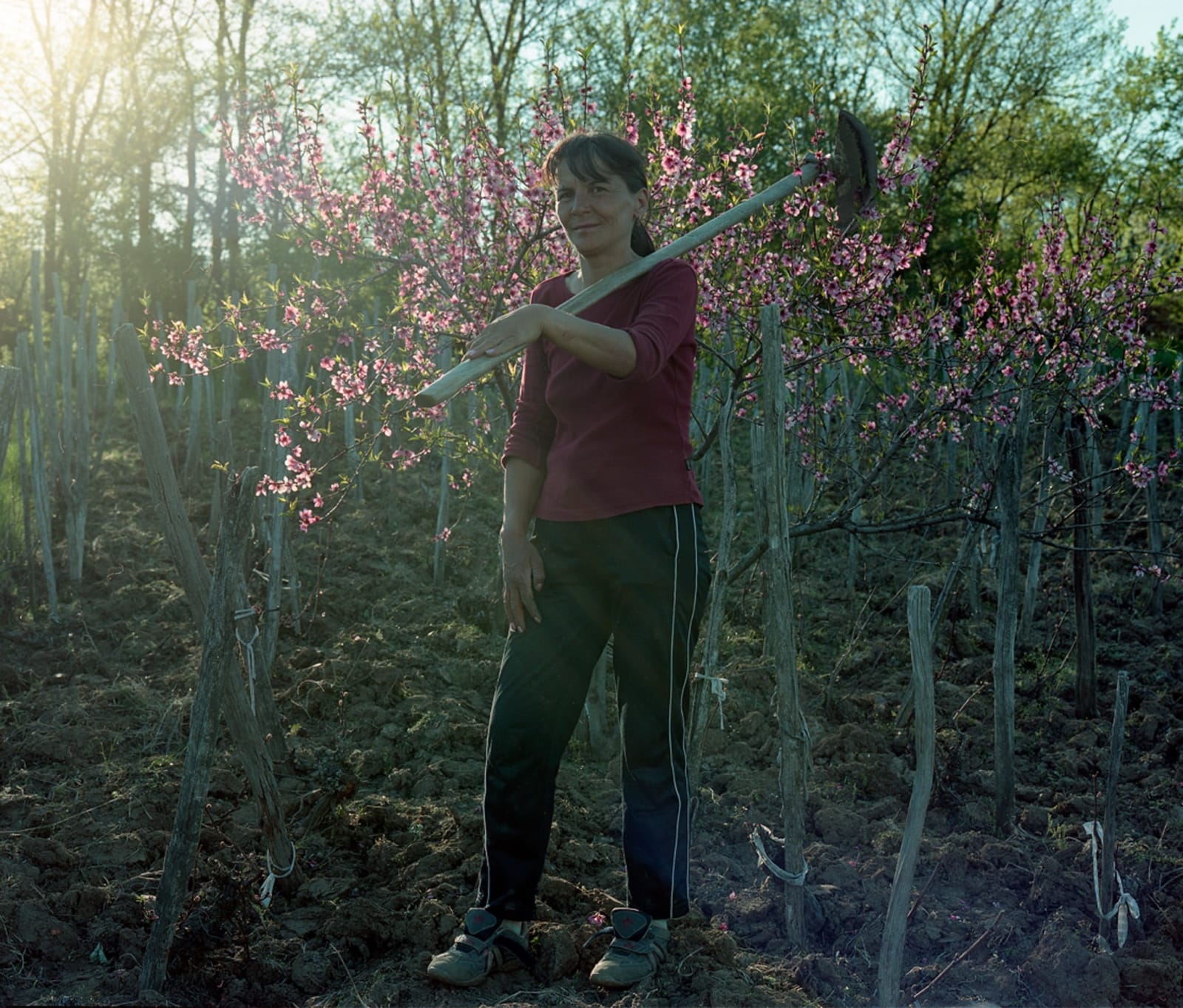 Bogdan Gîrbovan, MARIETA, 212