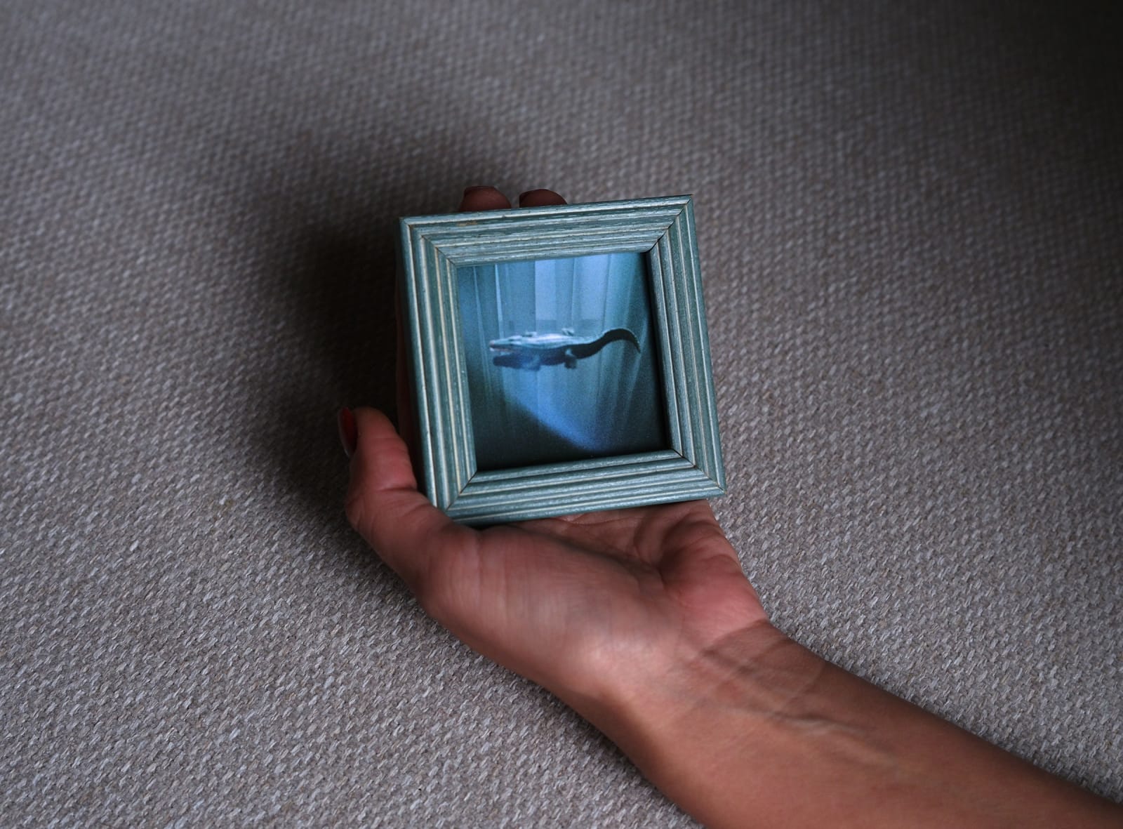 Bogdan Gîrbovan, CROCODIL, 2025