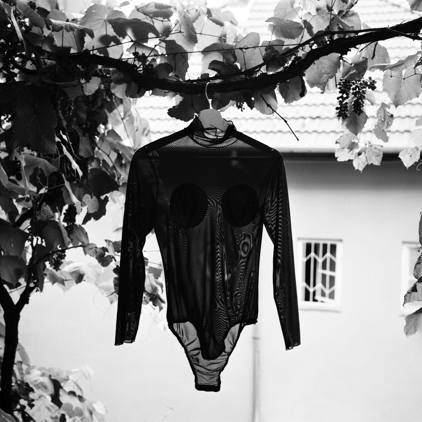 Bogdan Gîrbovan, BODY, 2024