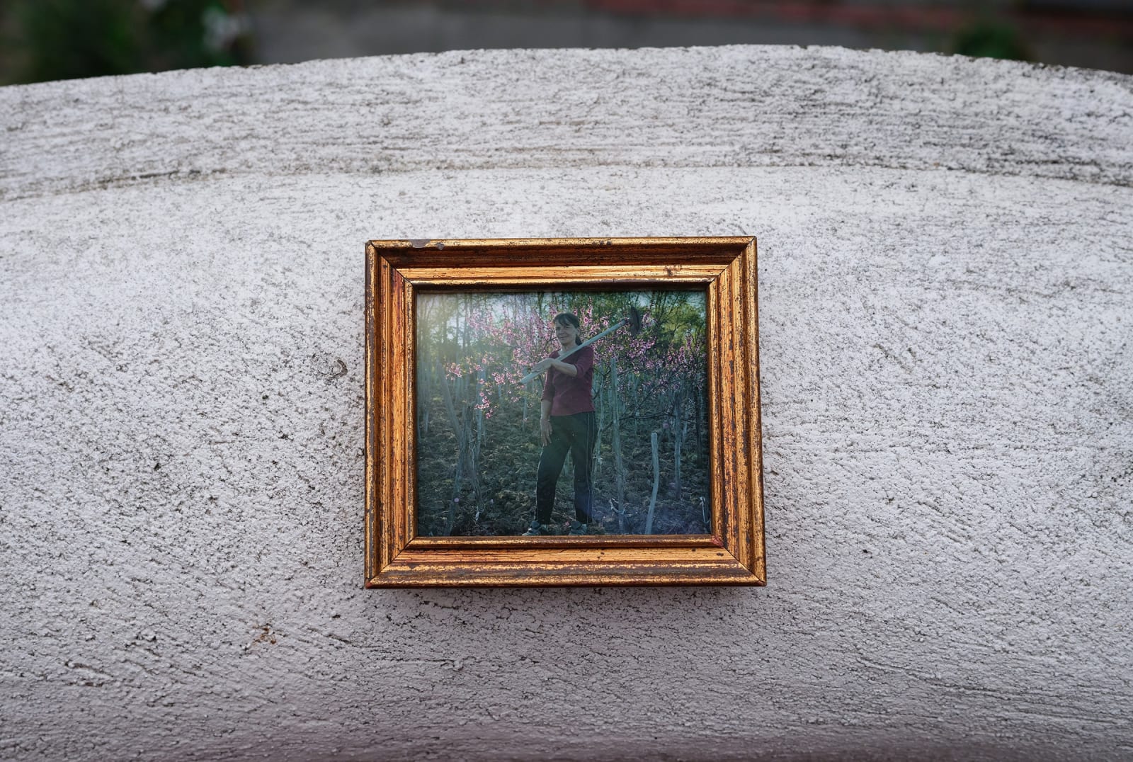 Bogdan Gîrbovan, MARIETA, 2012