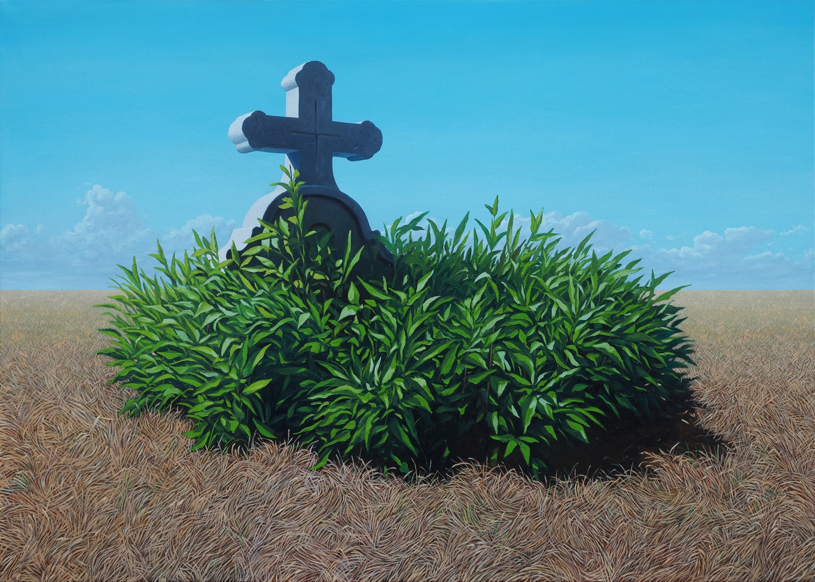 Roman Tolici, New Hope 8, 2024