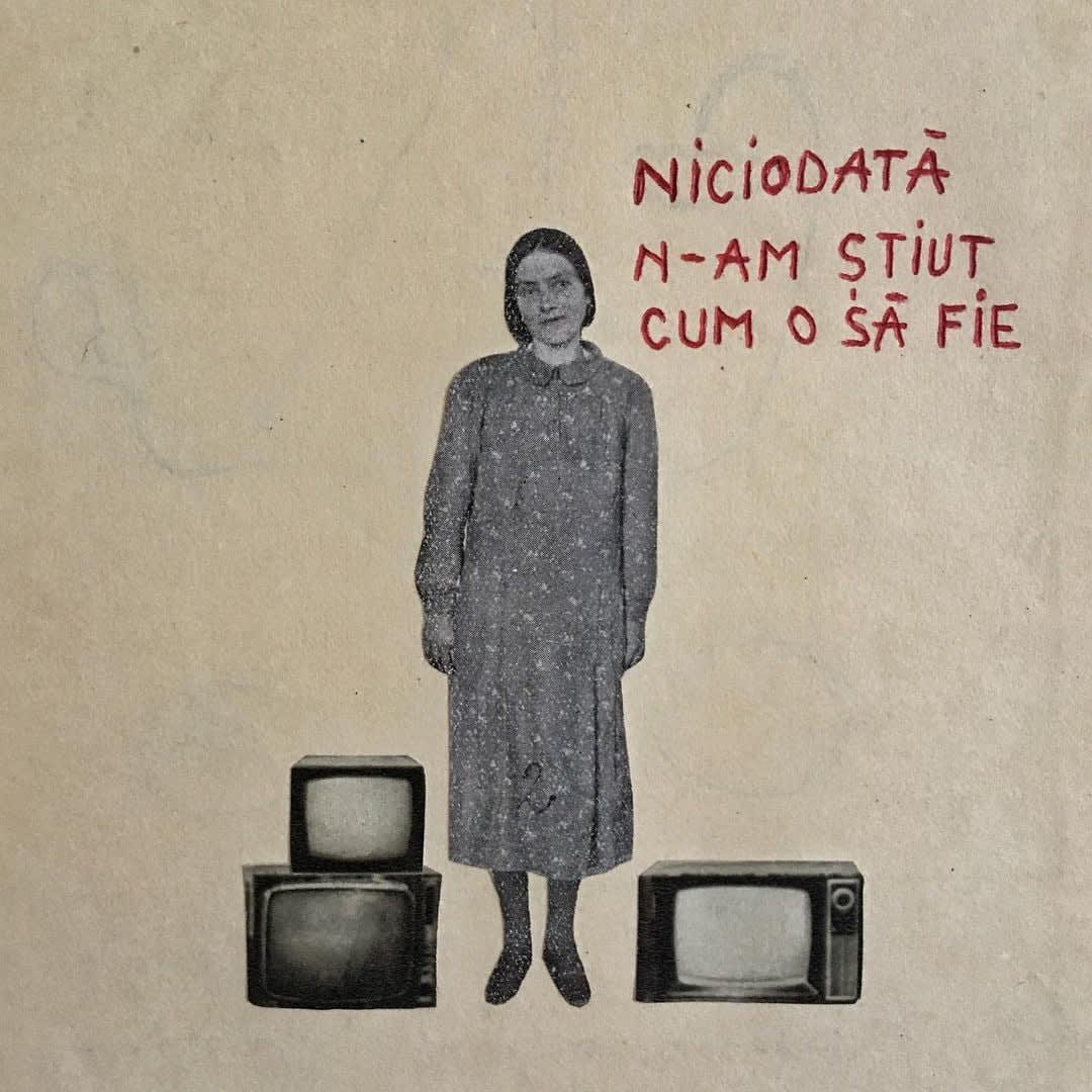 Beatrice Arzoiu, Niciodată n-am știut cum o să fie, 2022