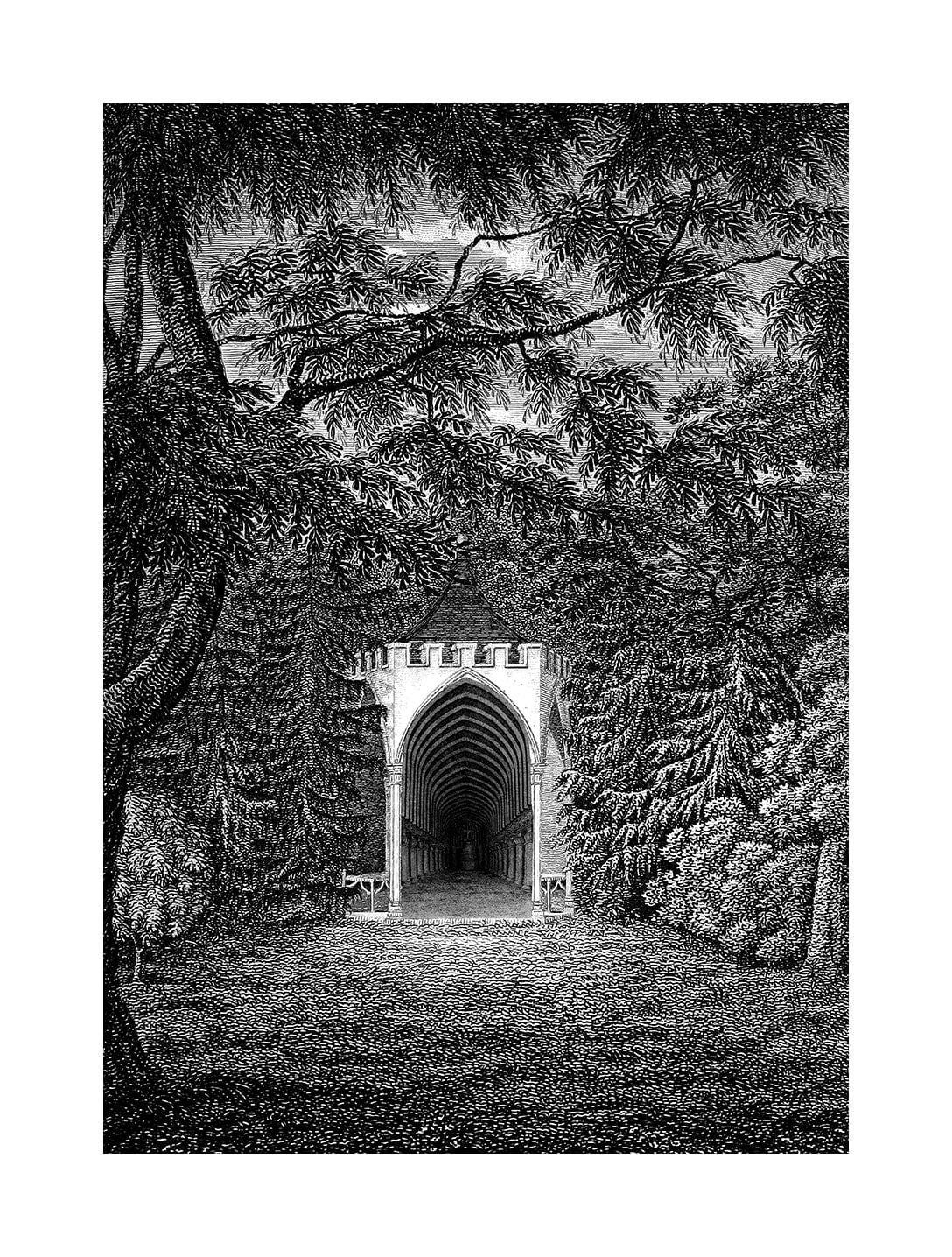 Larisa Sitar, And then, one thing led to another...