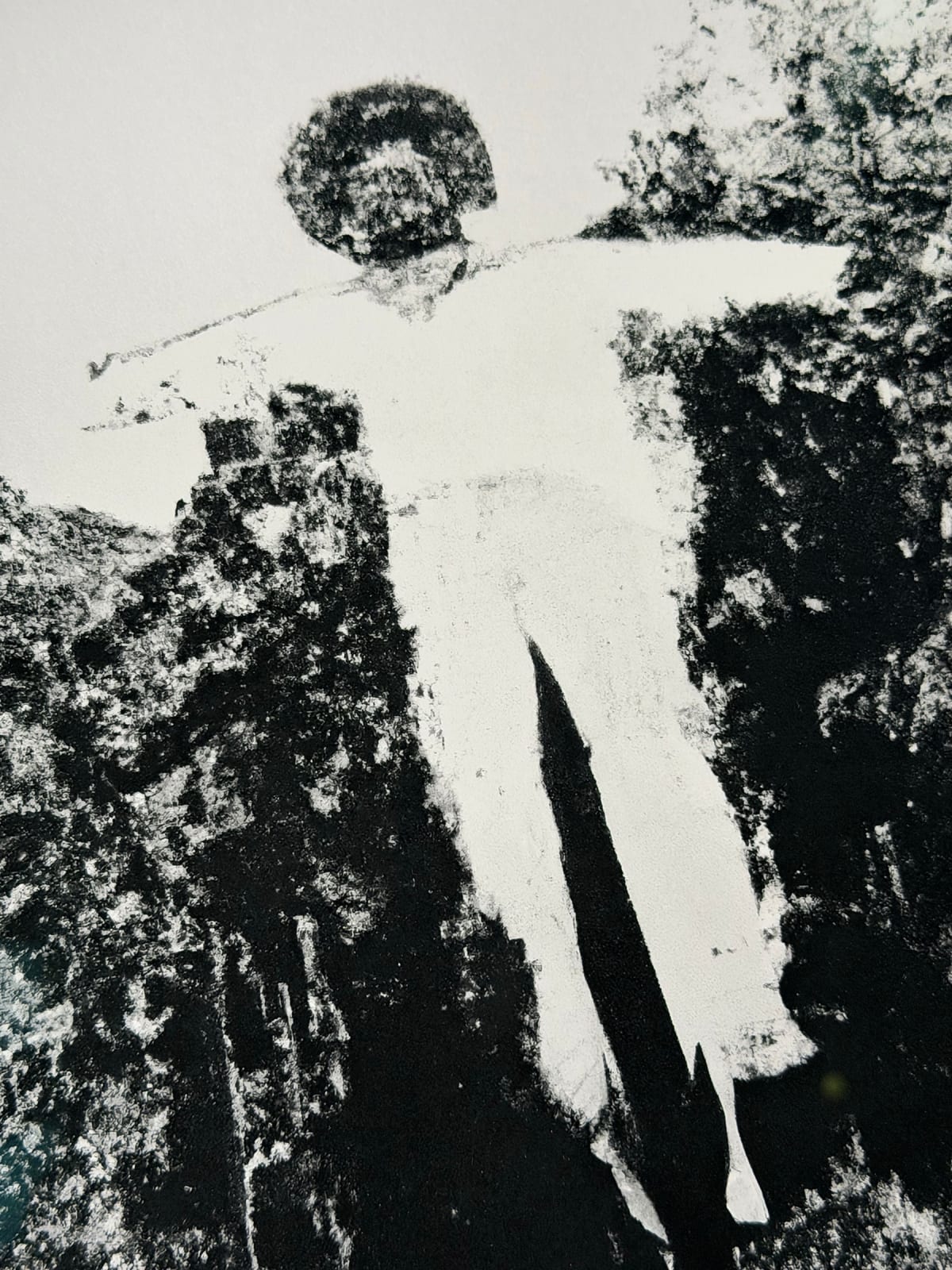 Michele Bressan, Scarecrow, 2025