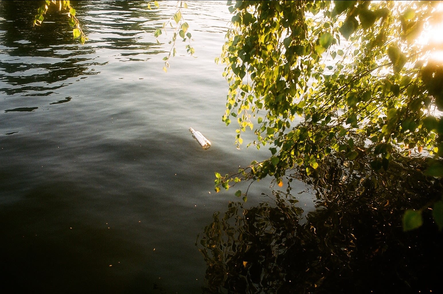 Christian Jankowski, Exhibition Review, 2025