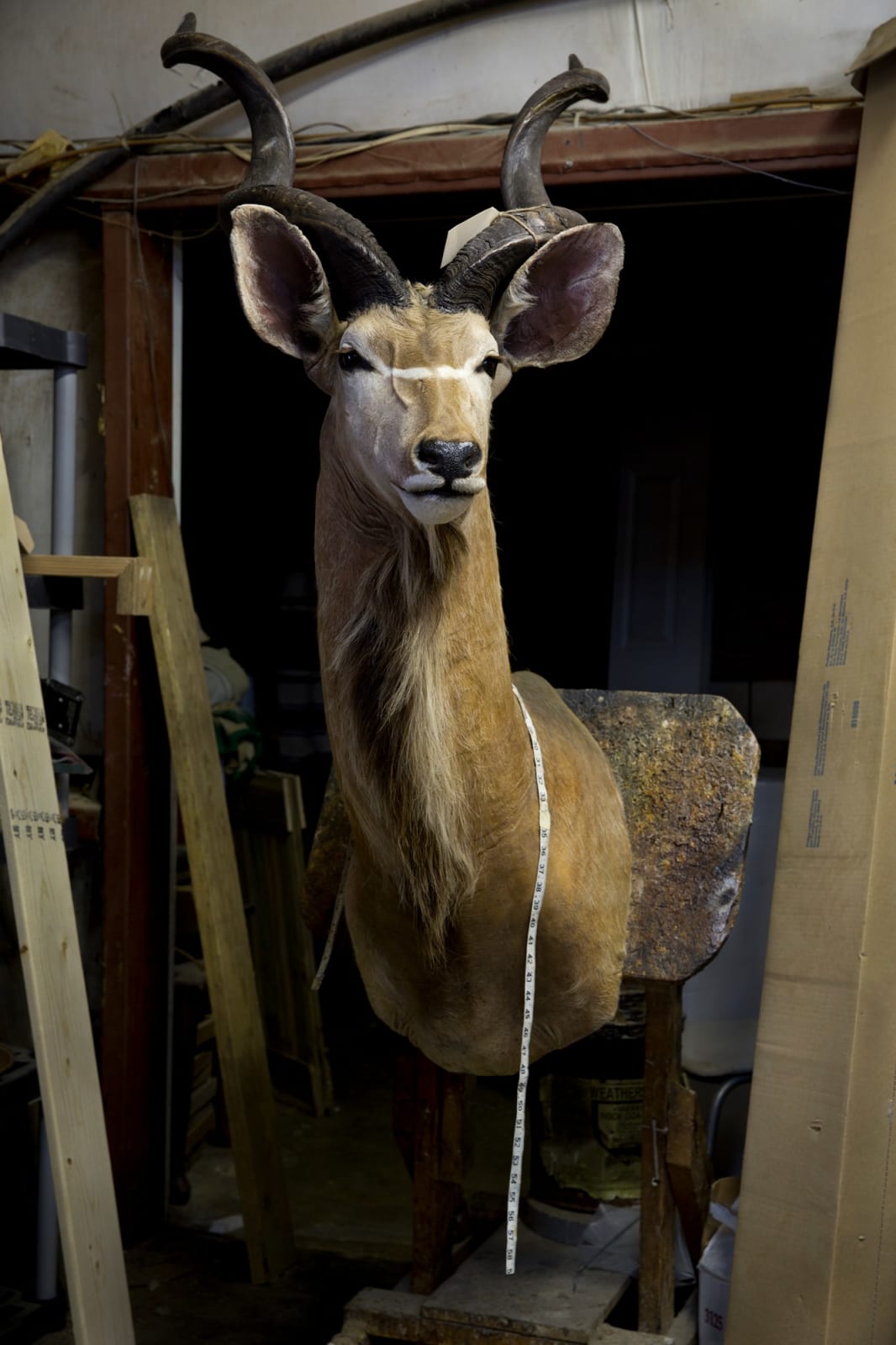 Constance Thalken, Eyes Open Slowly #9, 2014