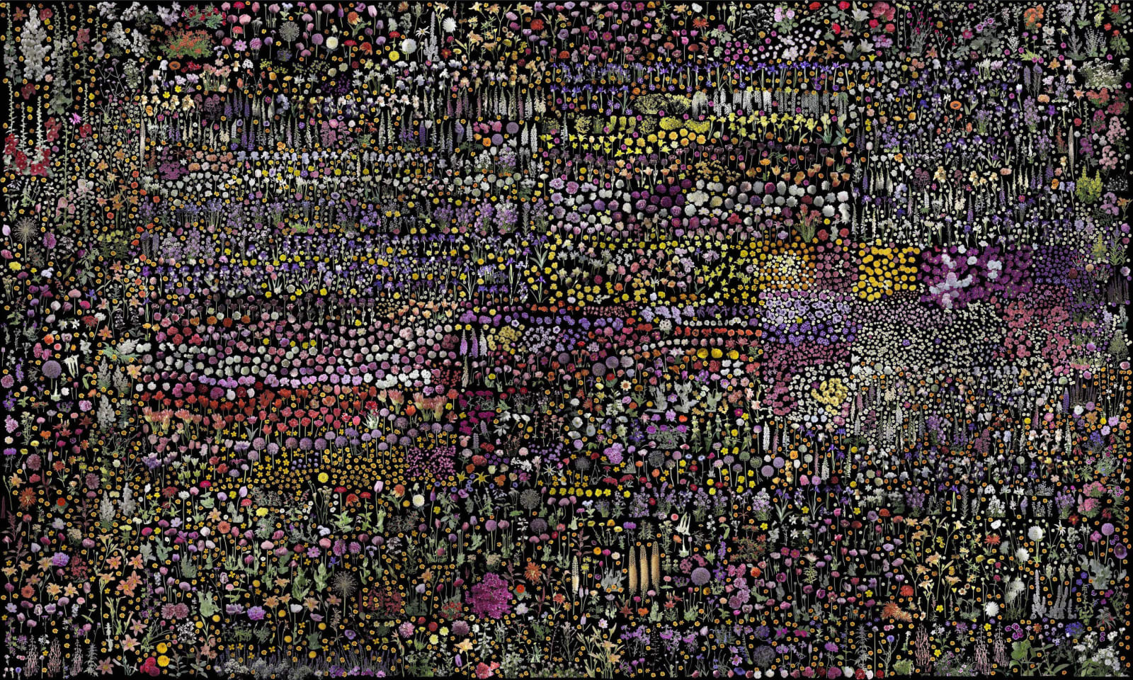 Jean-François Rauzier, Giverny Botanic, 2022