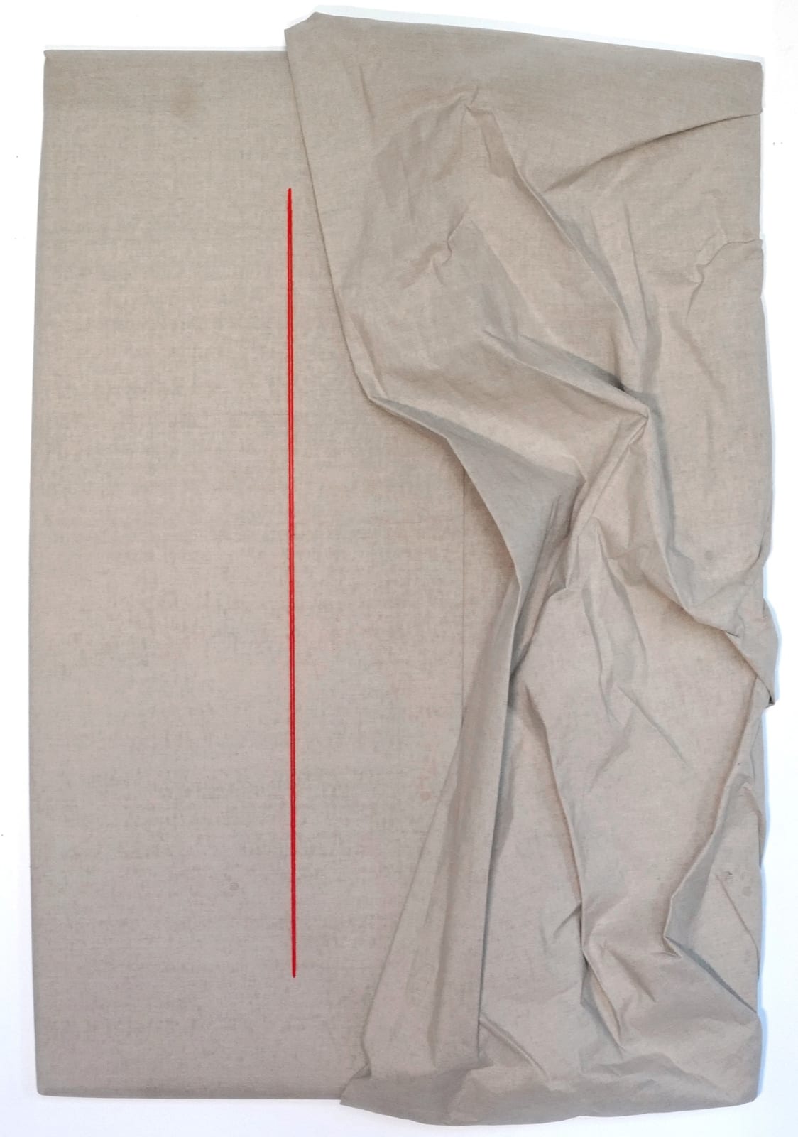 Annina Roescheisen, The Crimson N13, 2025