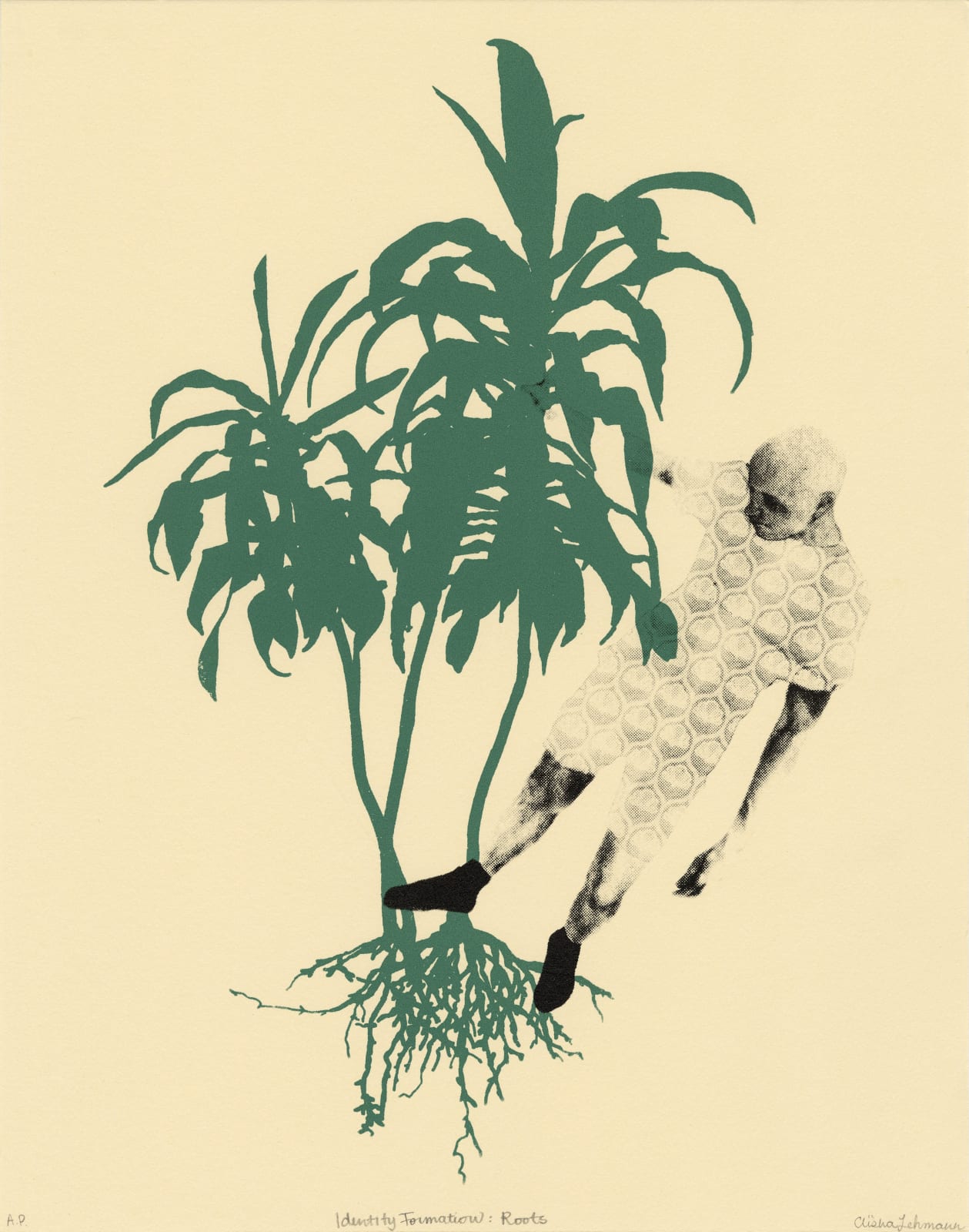 Aïsha Lehmann, Identity Formation: Roots, 2022