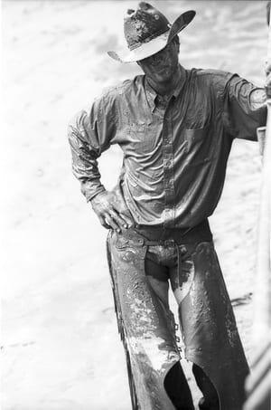 Michael Coles, Bronze Rider, 2015