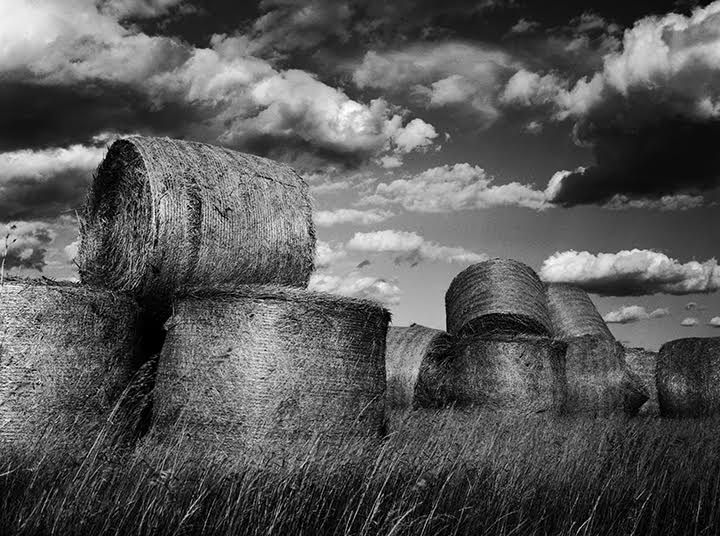 Michael Coles, Sky Bales, 2015